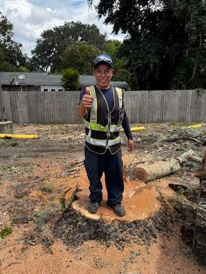 Tree Removal | Episcopal School of Jacksonville