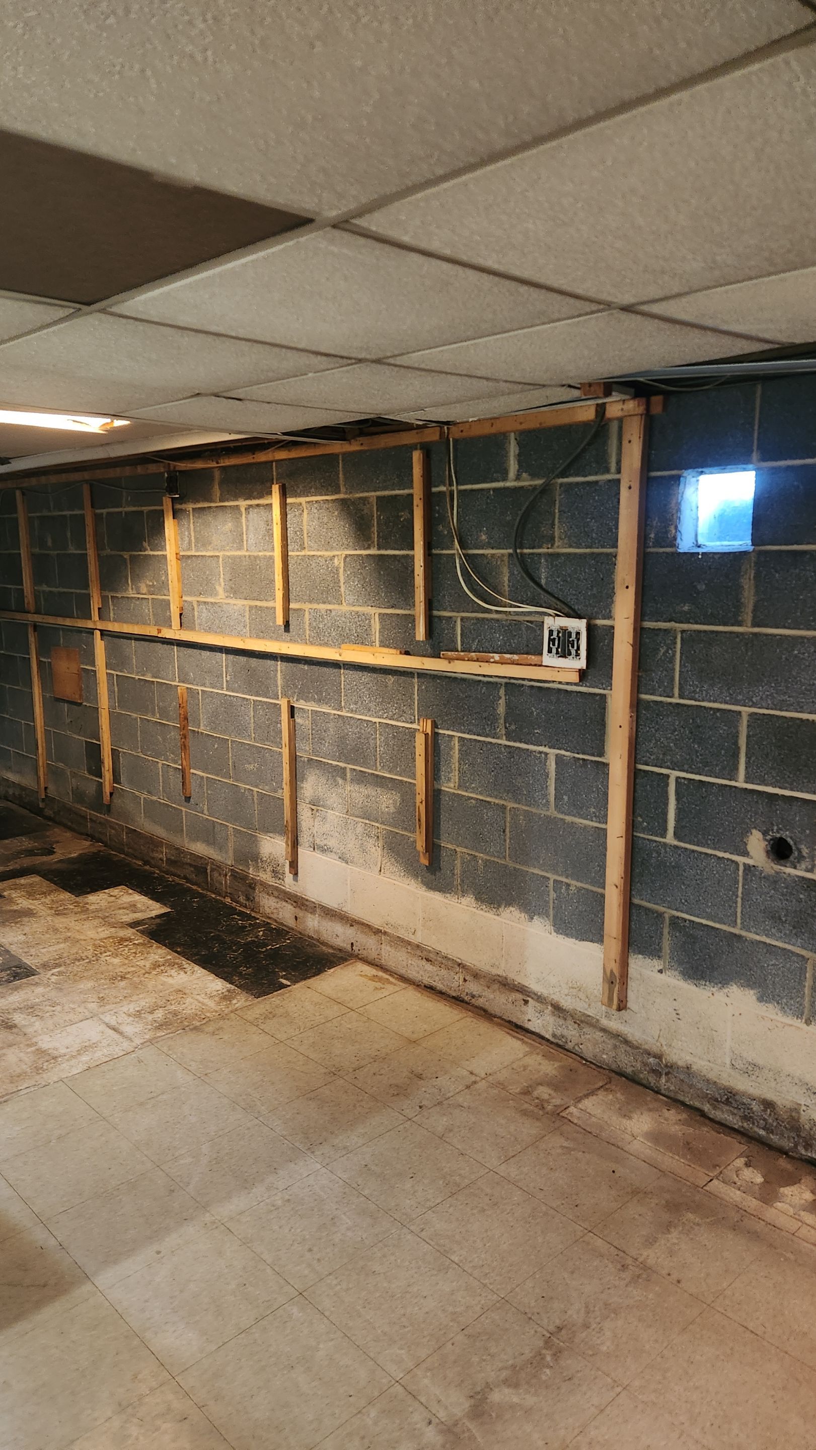 Interior French Drain & Mold Remediation Project in Manville, New Jersey by Pure Service Pro, LLC 