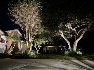 Landscape Lighting Upgrade | Orlando, FL 34761