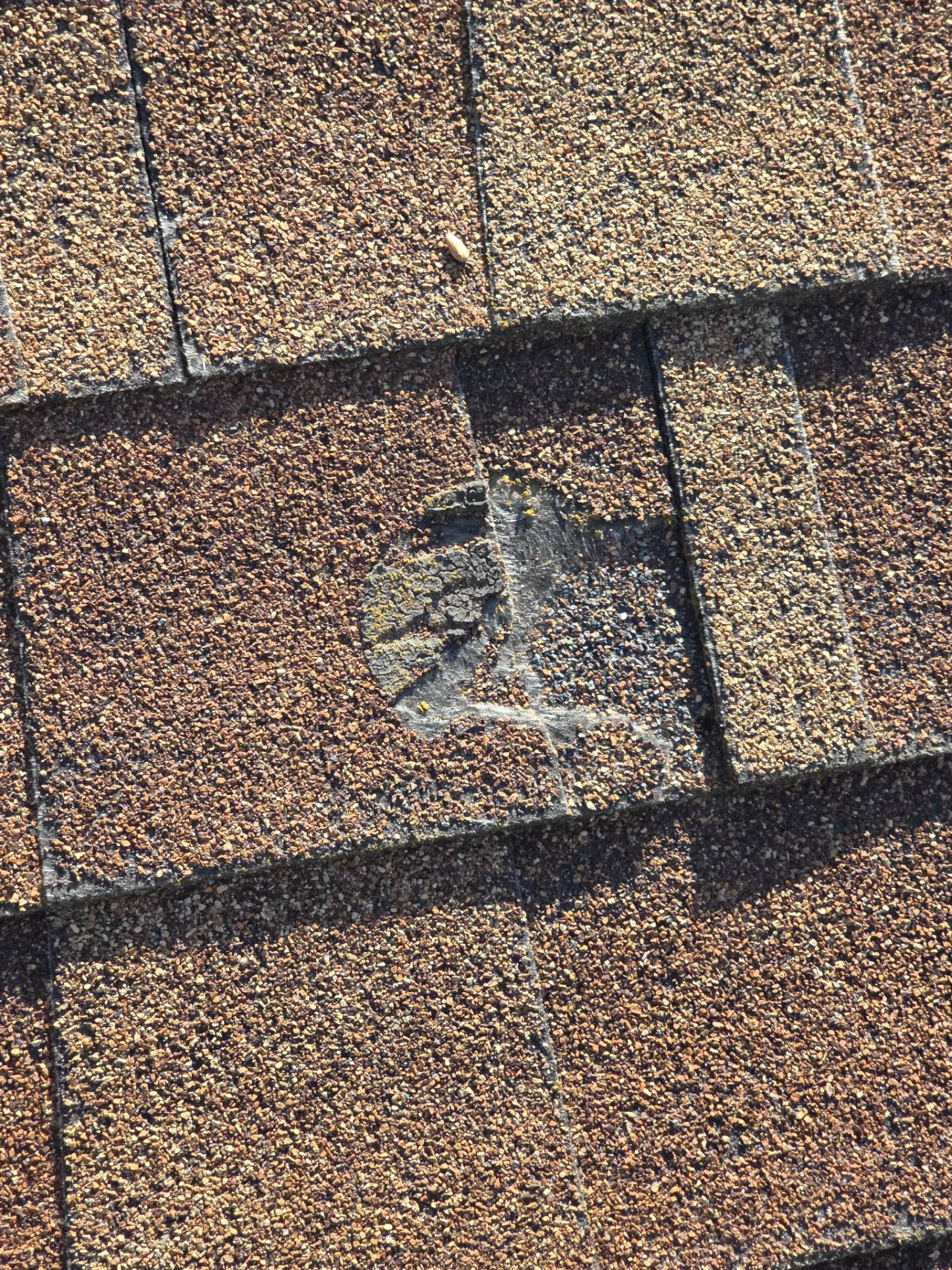 Roof Rejuvenation using Roof Maxx Treatment by Roof Maxx of Folsom