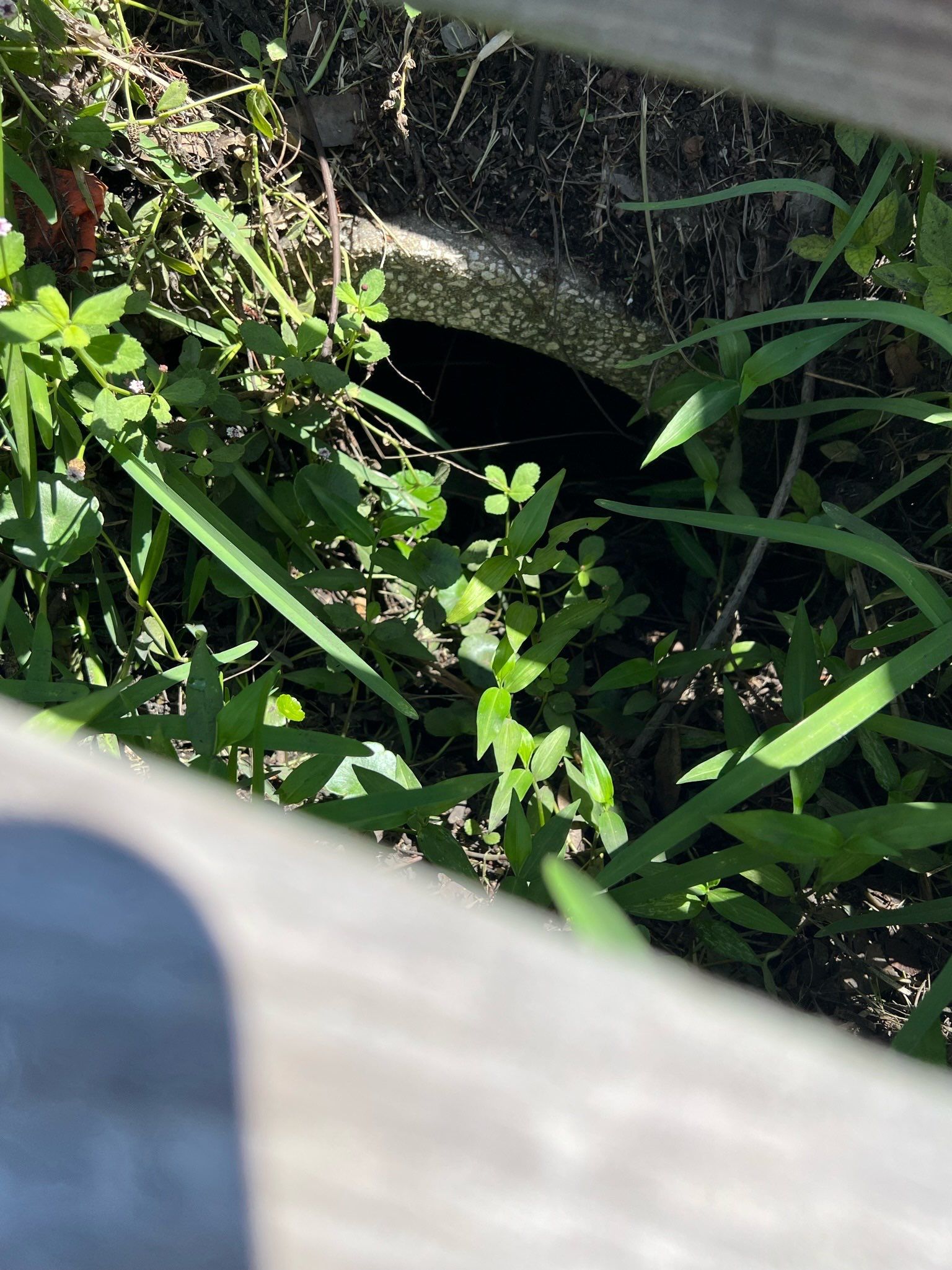 Apartment Complex Storm Water System Maintenance by Don Mar, Inc. Storm Water Solutions
