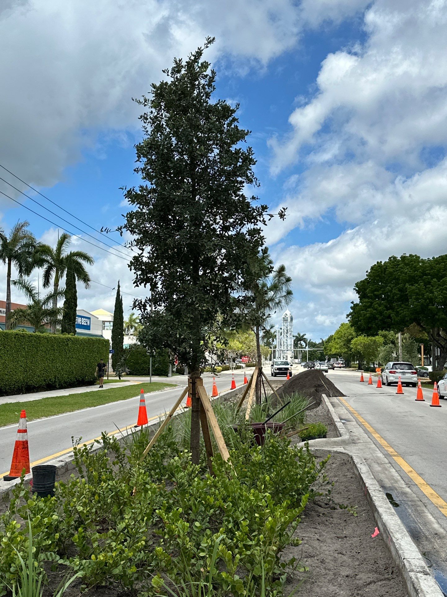 Pinecrest Median - New Native Landscape by Nature's Dream by Nature's Dream Landscape and Tree Service