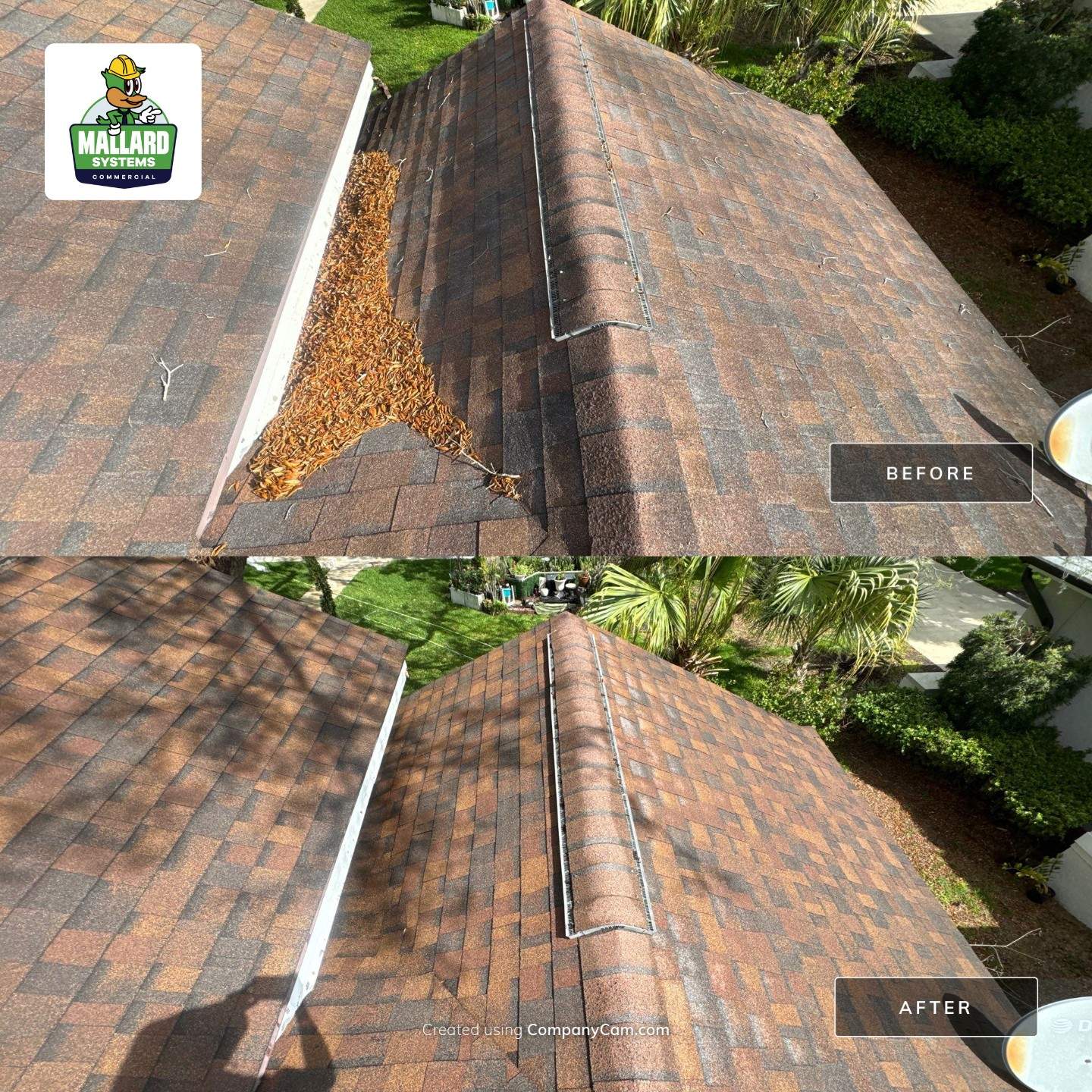 Shingle Roof Debris Removal and Cleaning by Mallard Systems