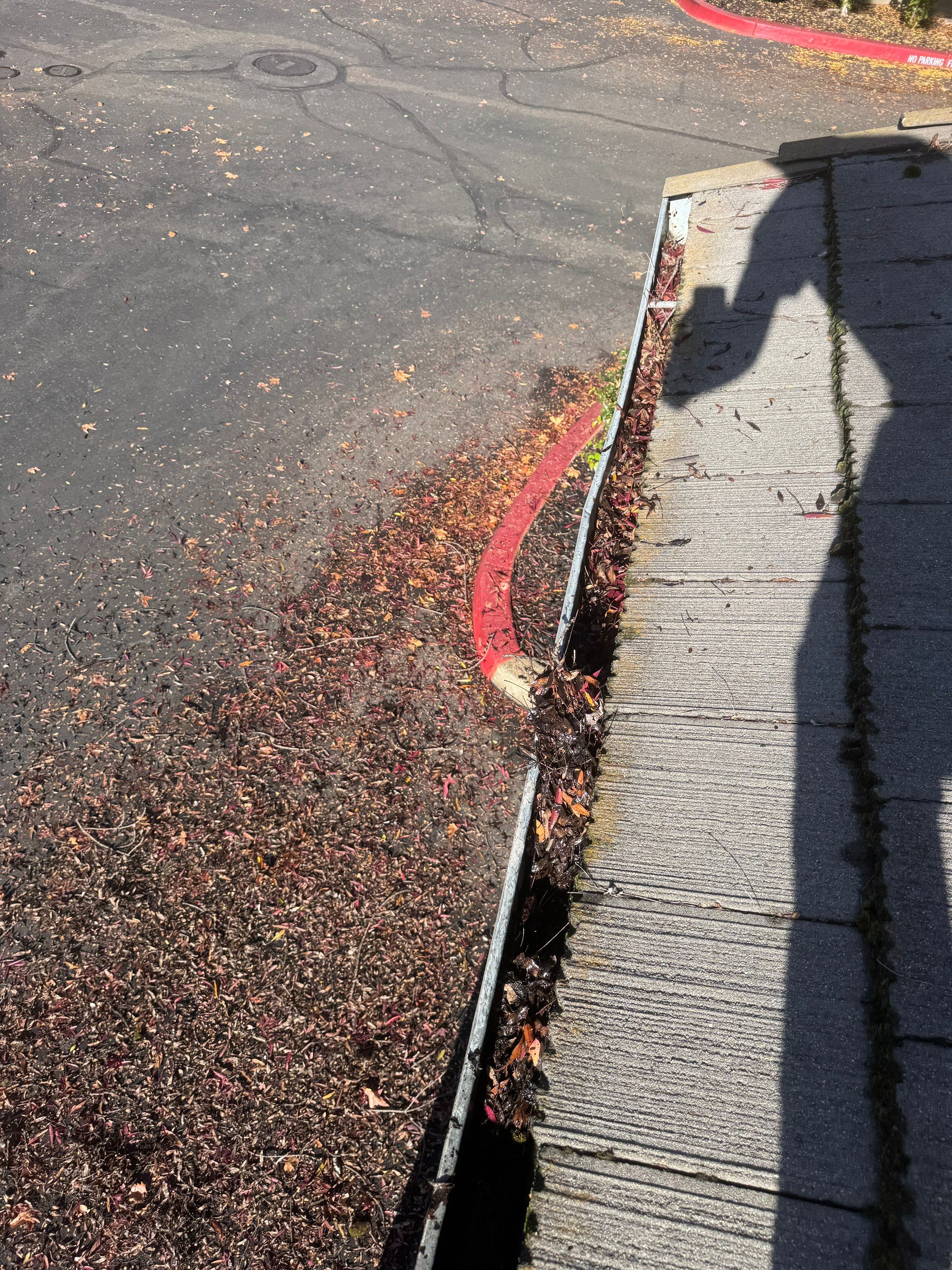 Commercial gutter cleaning Folsom & El Dorado Hills, CA before photo with filled gutters