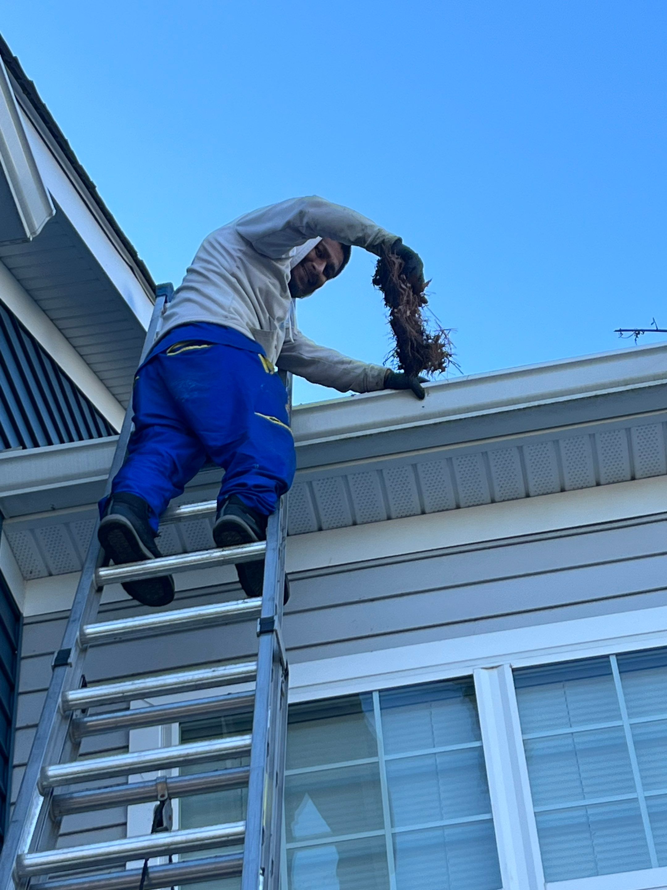 Gutter Cleaning in Cranbury, NJ by Clearview Washing