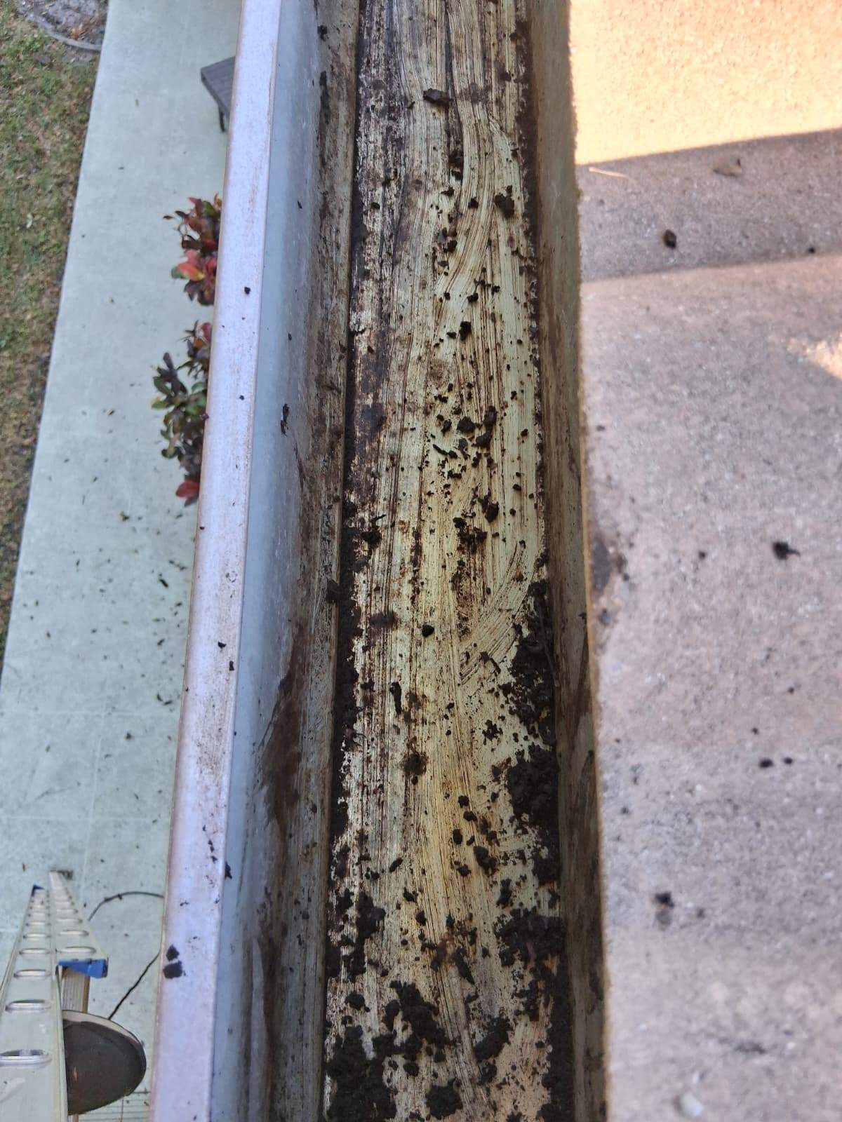 Gutter Cleaning Service in Sarasota FL by Gutter Professors