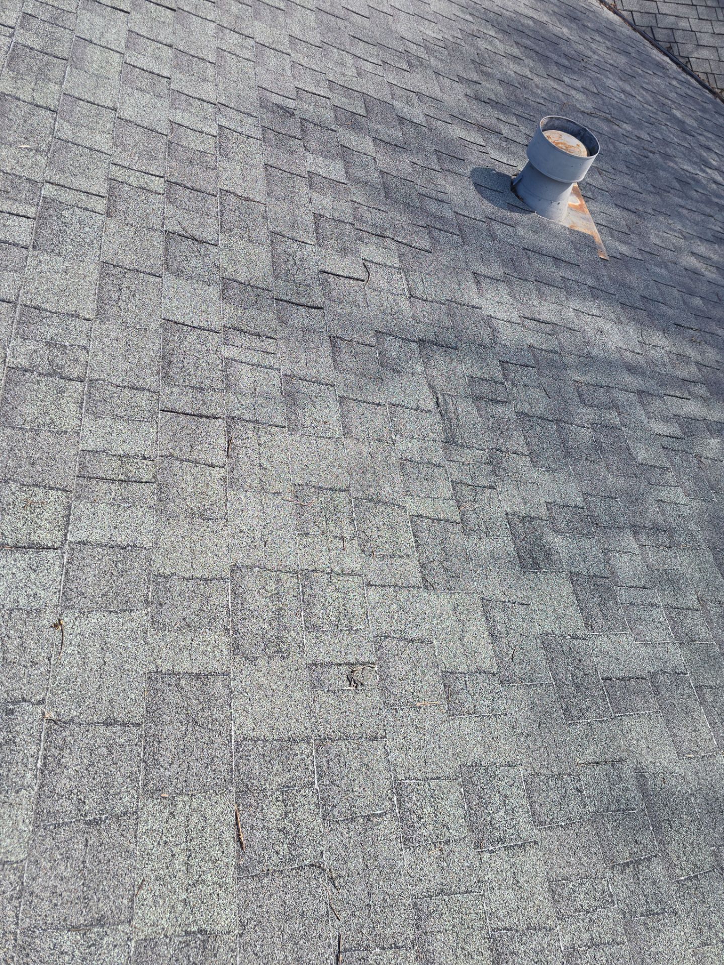 Roof Rejuvenation using Roof Maxx Treatment by Roof Maxx of Folsom