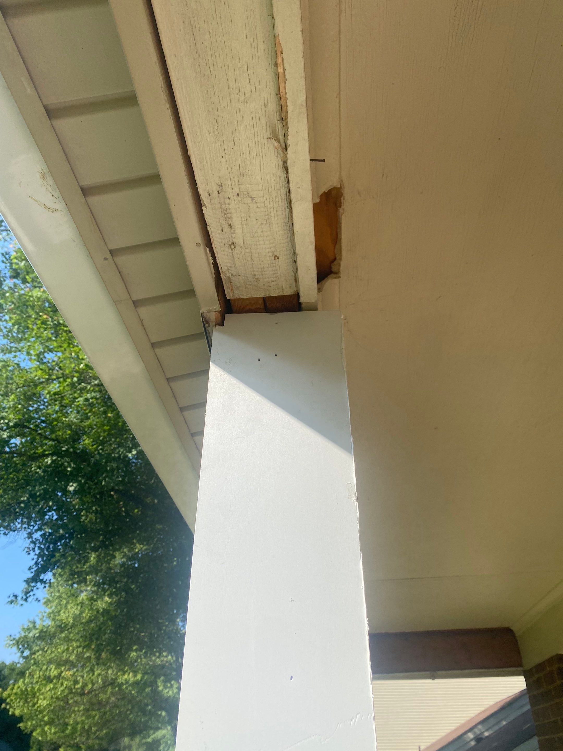 New Bilco doors to basement & new front porch posts by The Smet Companies, LLC