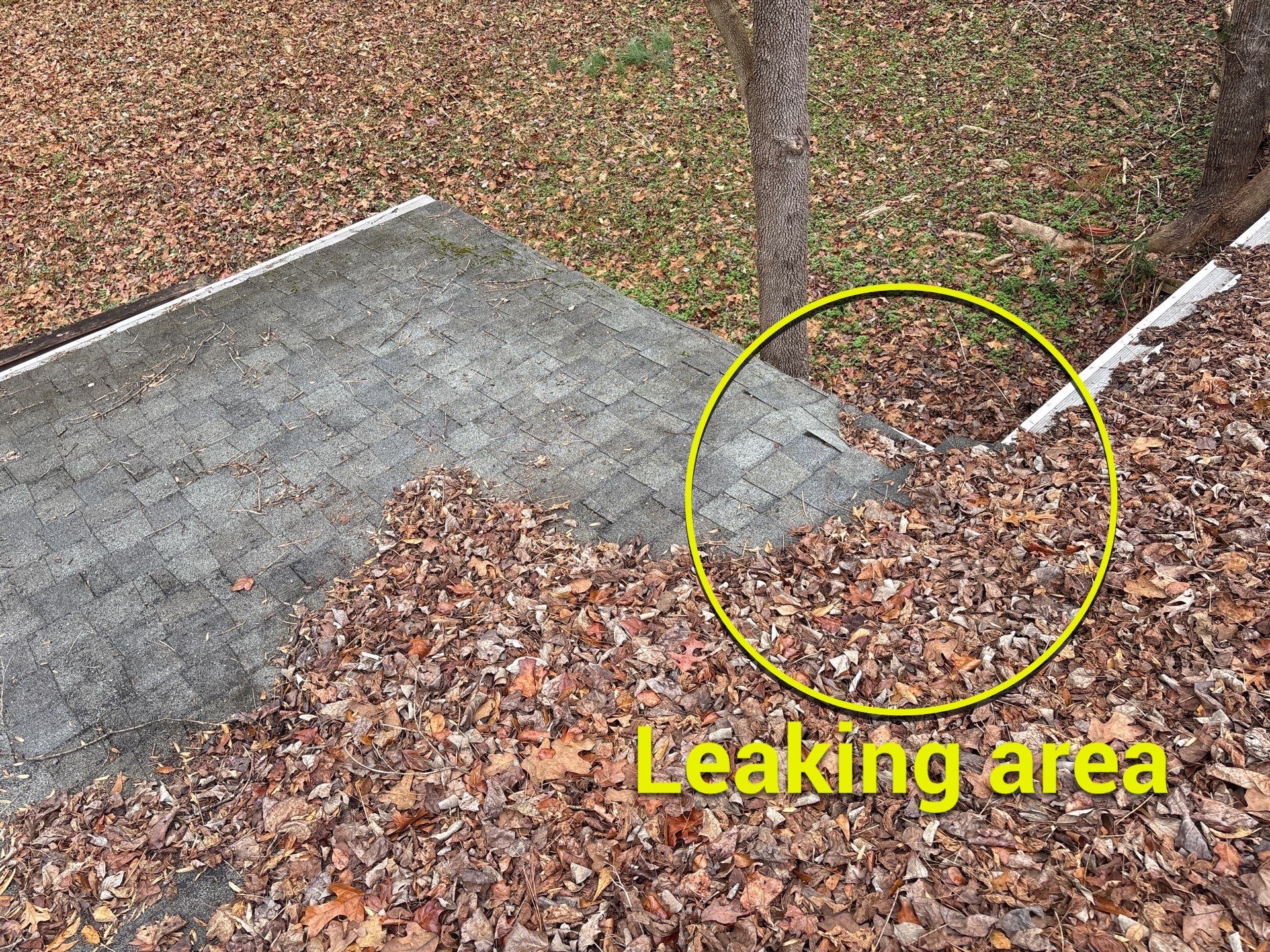 Clean Roof, Strong Home 🍂 by Georgia Roof Advisors