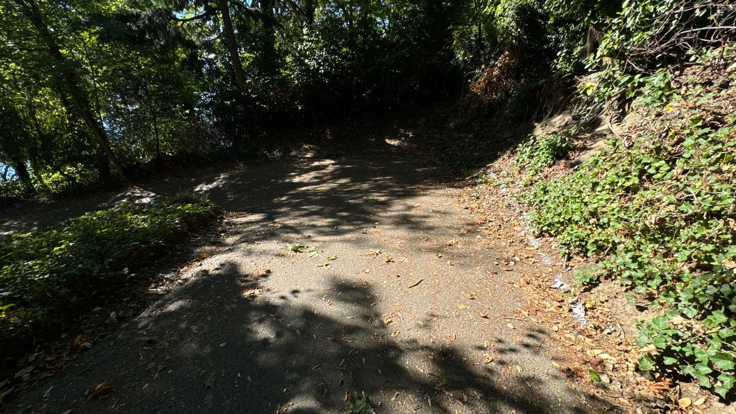 Asphalt Road Repair | Mercer Island  by Jireh Asphalt & Concrete Inc 