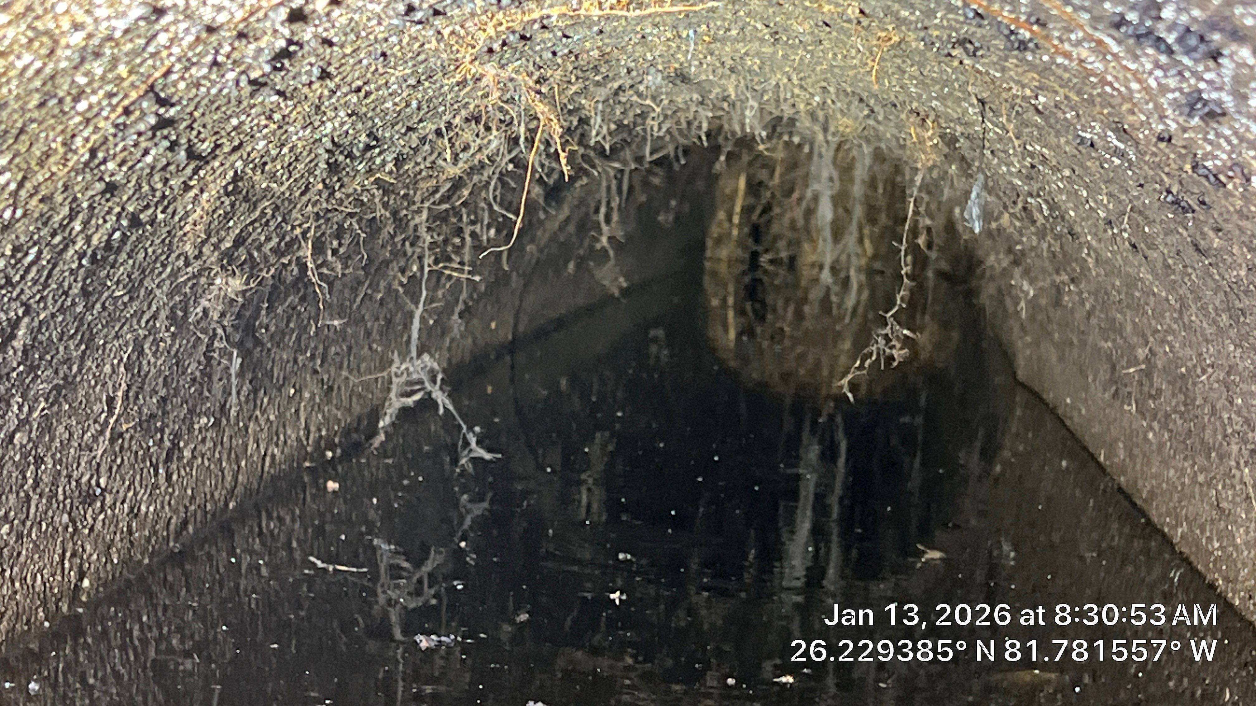 Naples Community Root Intrusion Investigation with P.R.S. by Don Mar, Inc. Storm Water Solutions