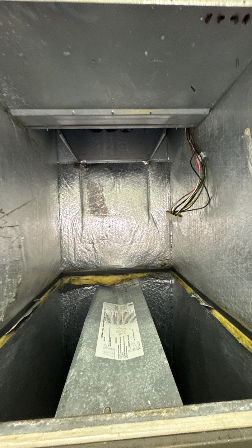 Commercial Air Duct Cleaning in Clermont by Hygienic Air, Inc