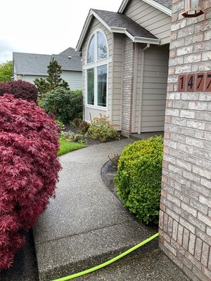 Driveway wash using Surfactant