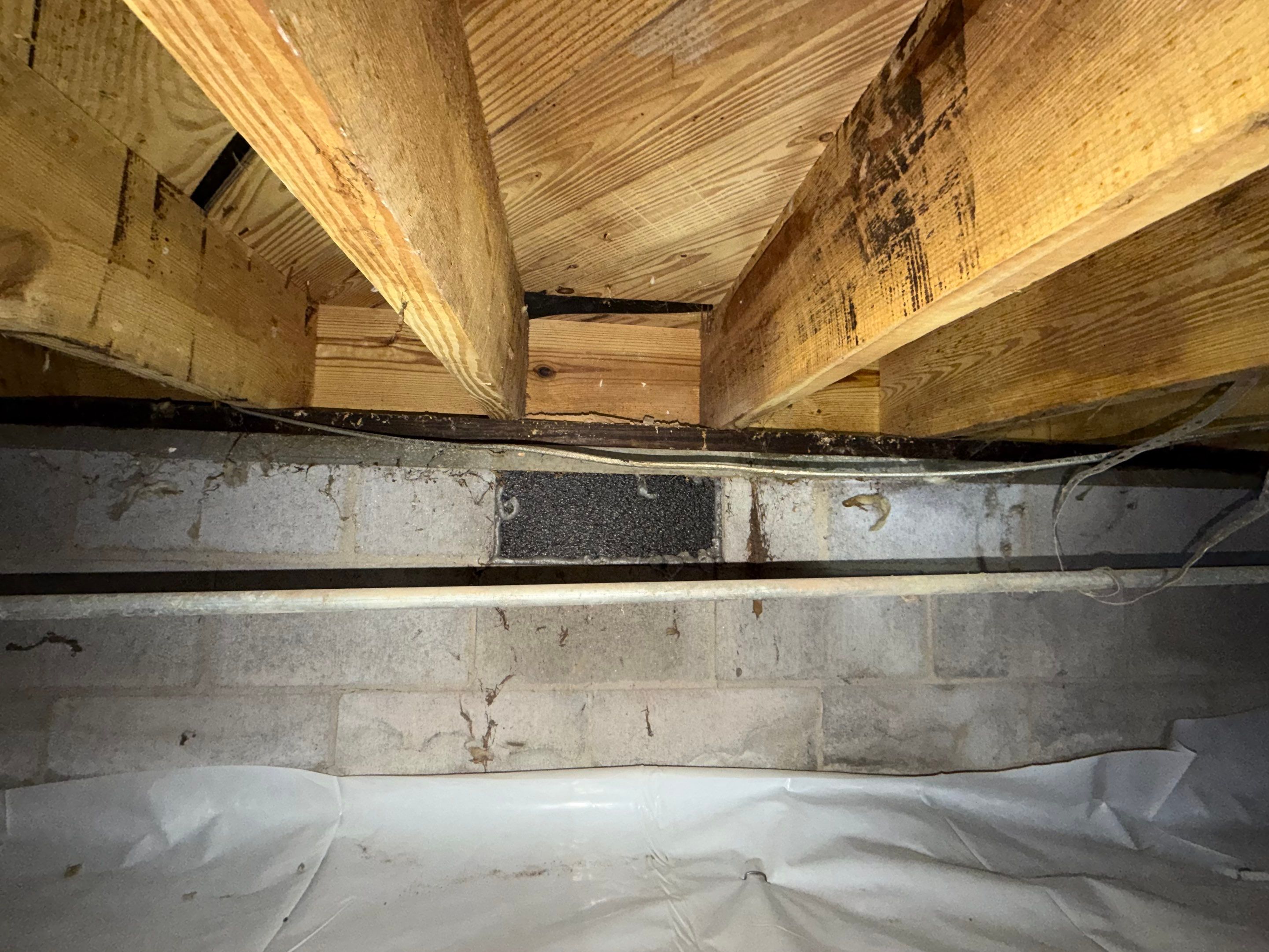 Project in Smithfield by Patriot Crawl Space Repairs