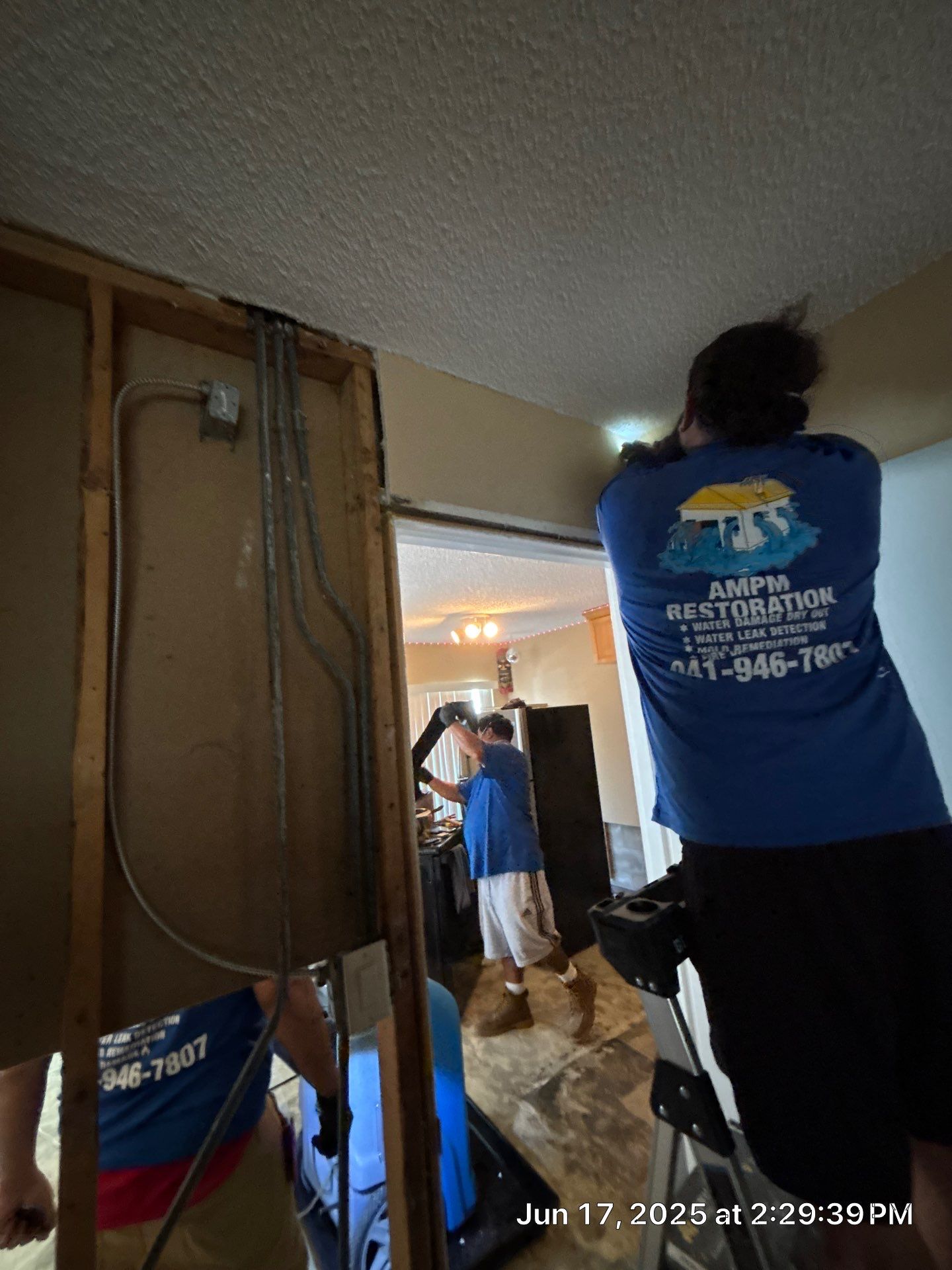 Commercial Mold Damage In Sarasota by Ampm Restoration Services