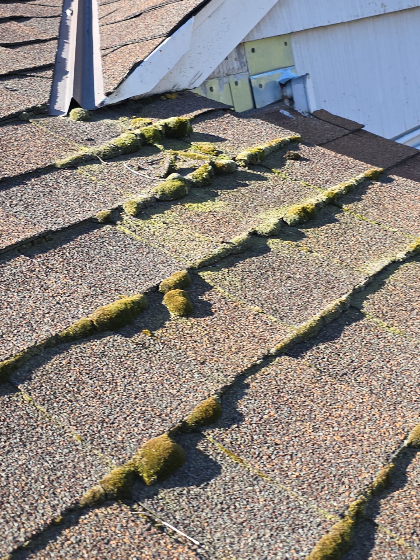 Roof Rejuvenation using Roof Maxx Treatment by Roof Maxx of Folsom