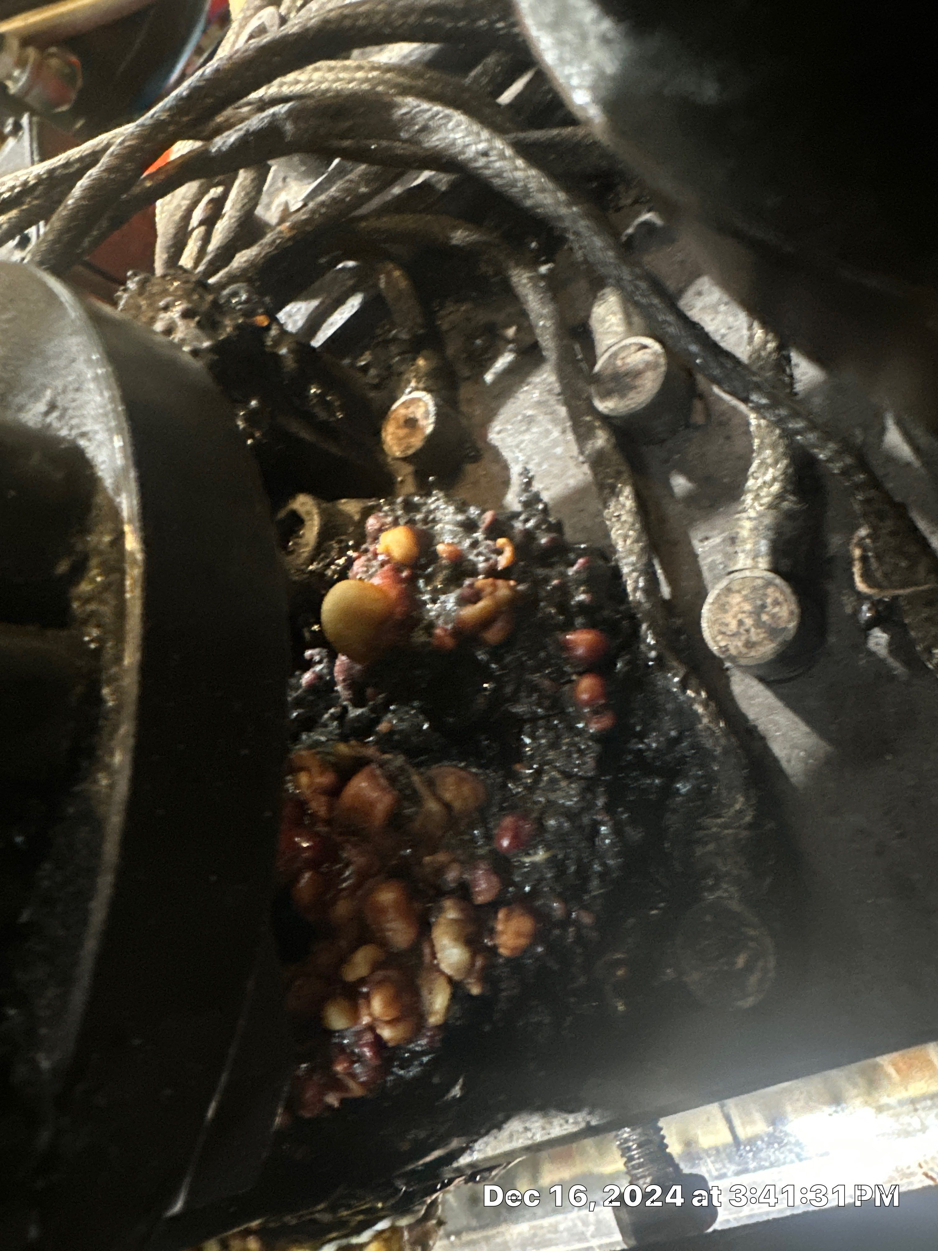 Project in Katy by Altium Packaging