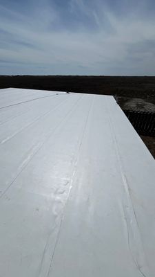 Seashore TPO
