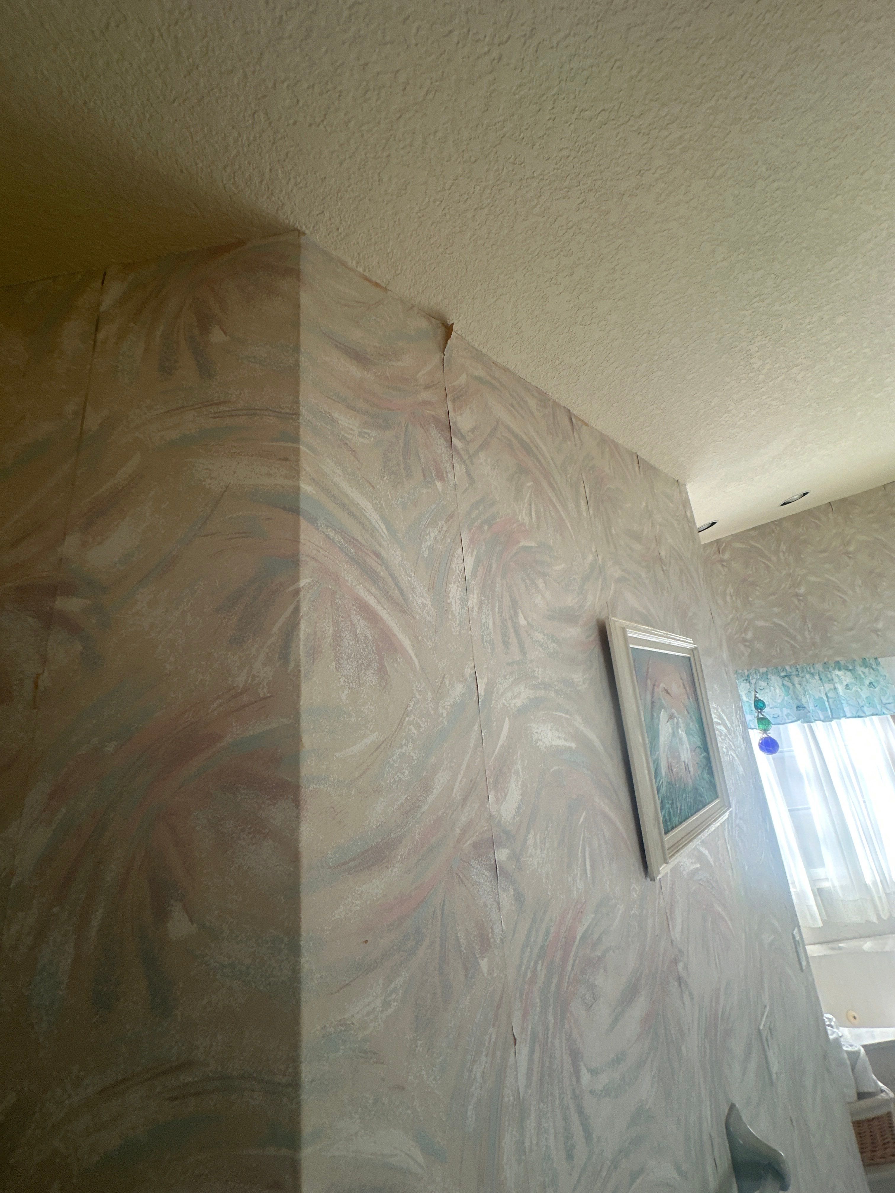 Lenny Van Denhandel - Interior by Fresh Coat Painters