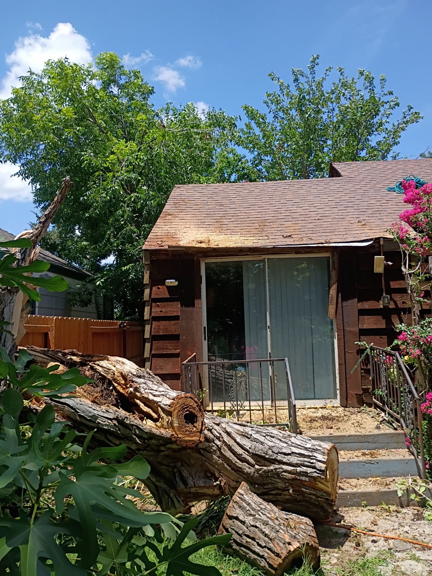 Dangerous Tree Tree Removal  by Clays Services Inc