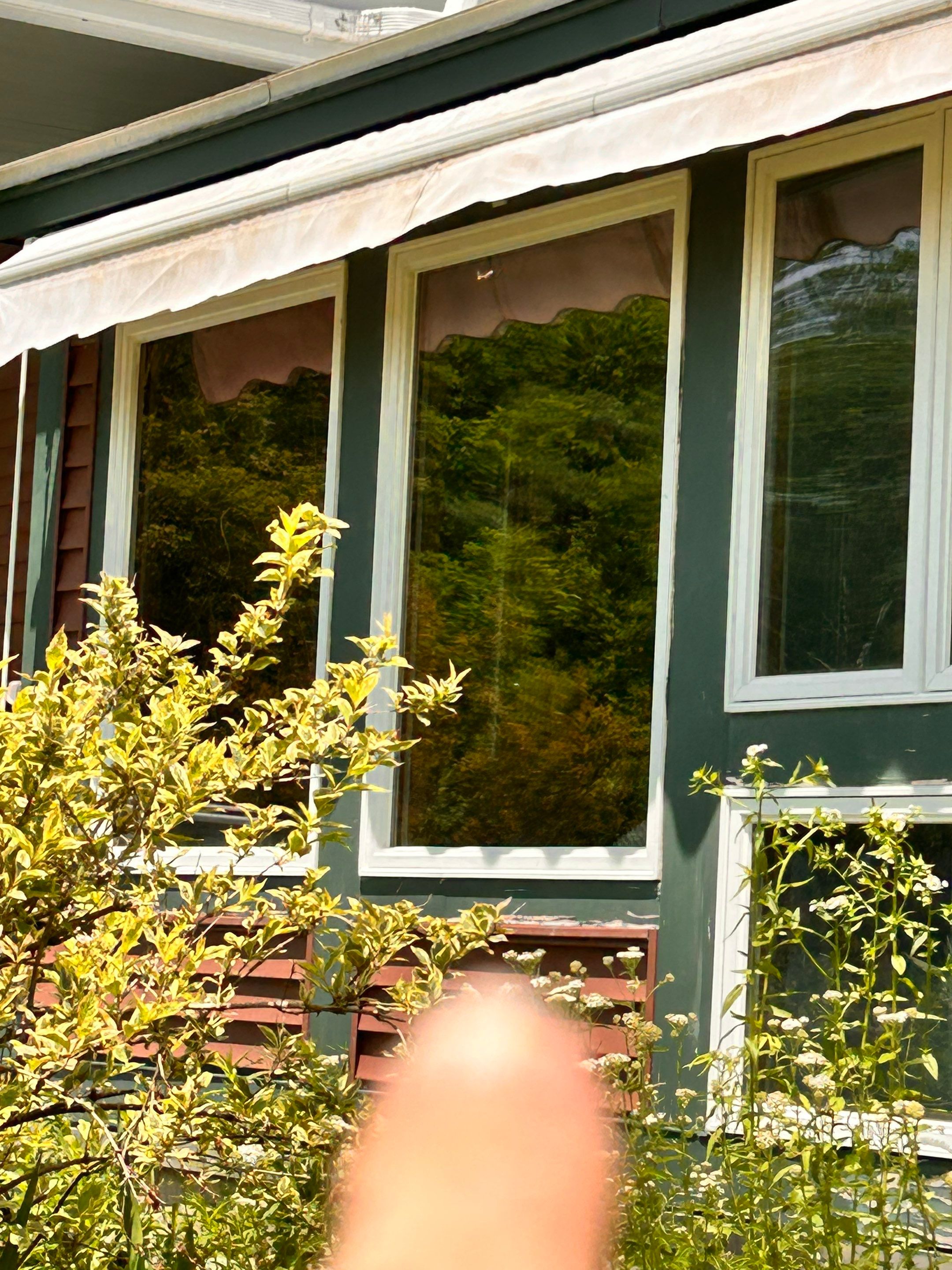 Glass Replacement using Low E Insulated Glass by Cheshire Glass Company