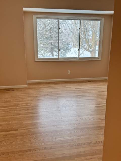 Classic Cut Red Oak by Ann Arbor Hardwoods 