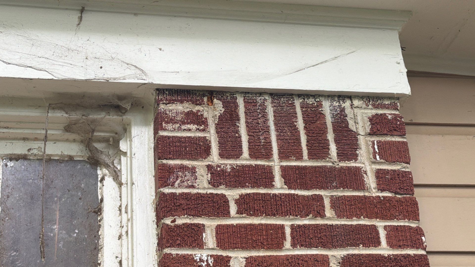 Bee Auth-ority by Rockwall Honey Bee Company