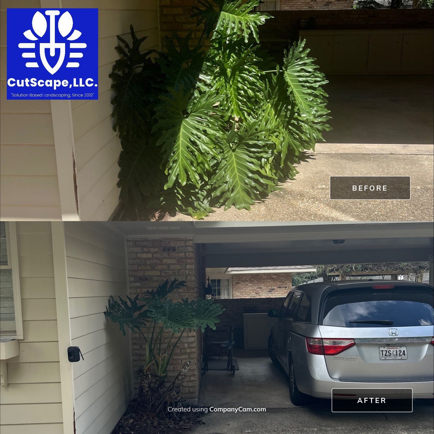 HERBICIDE / CLEAN OUT / TRIM / BRUSH DEBRIS REMOVAL using BRUSH REMOVAL / PROPERTY CLEAN UP LABOR by CutScape, LLC.