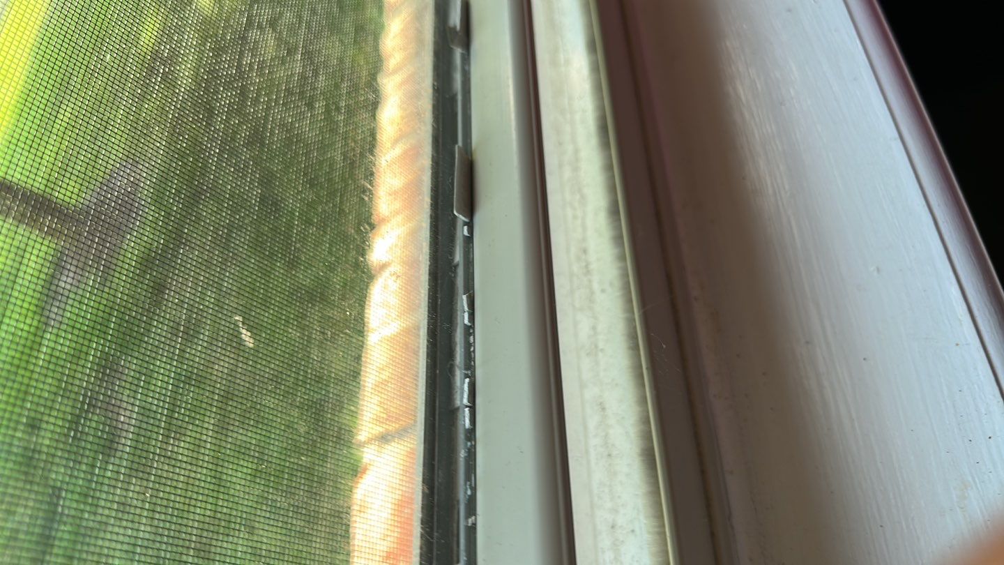 Roof and Windows! by Tamlin Roofing