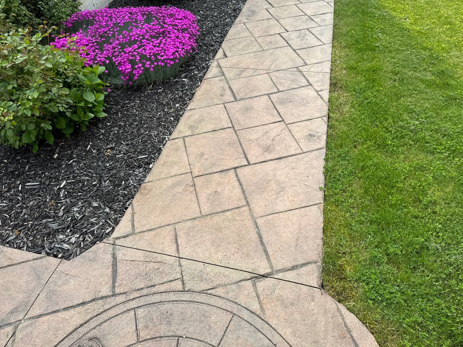 Sidewalk and pool patio Recolor/Reseal  by NG Masonry & Construction LLC