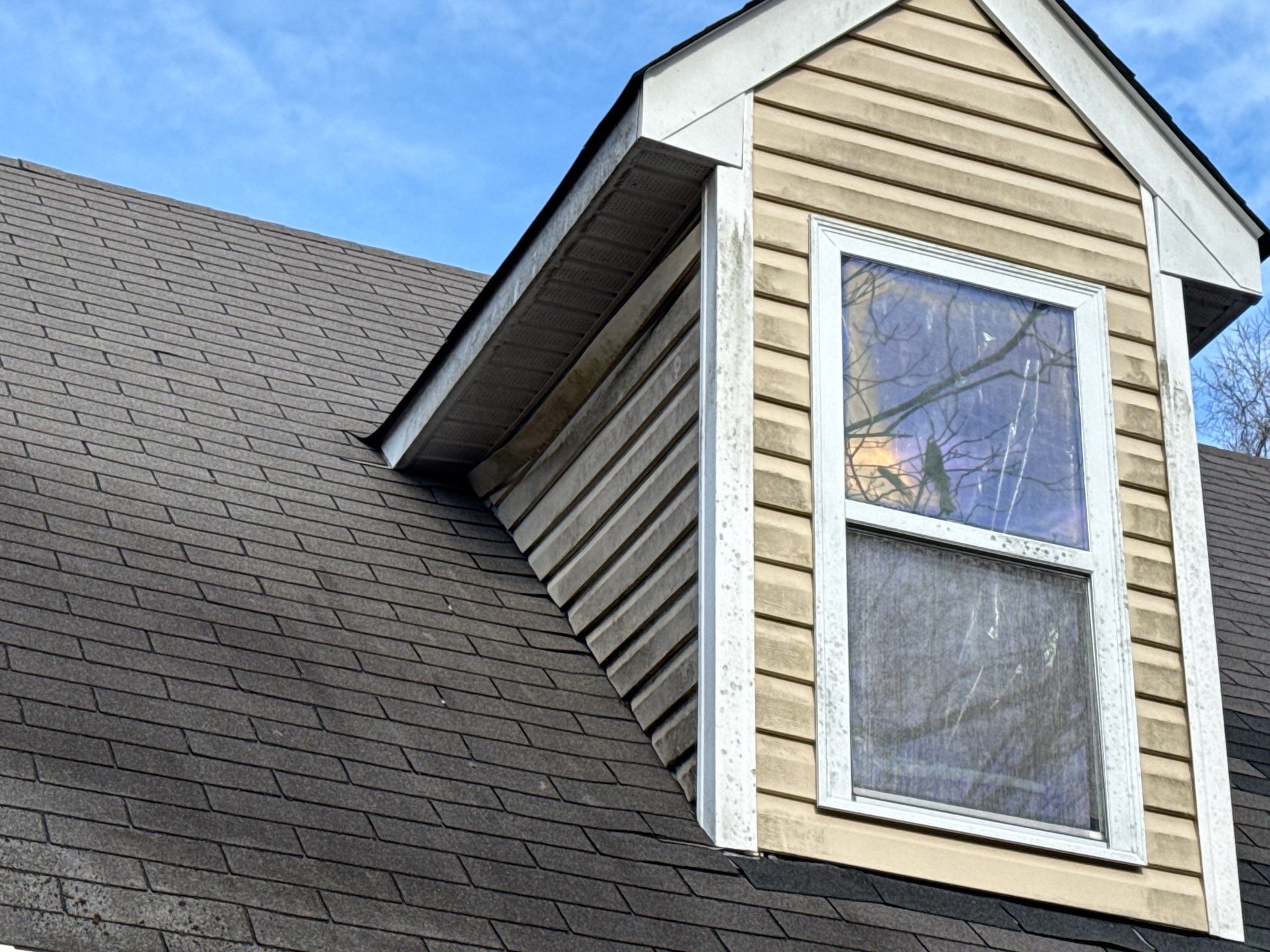 Gloucester Exterior Overhaul with Navy Blue Siding and New Roof by Cade Construction