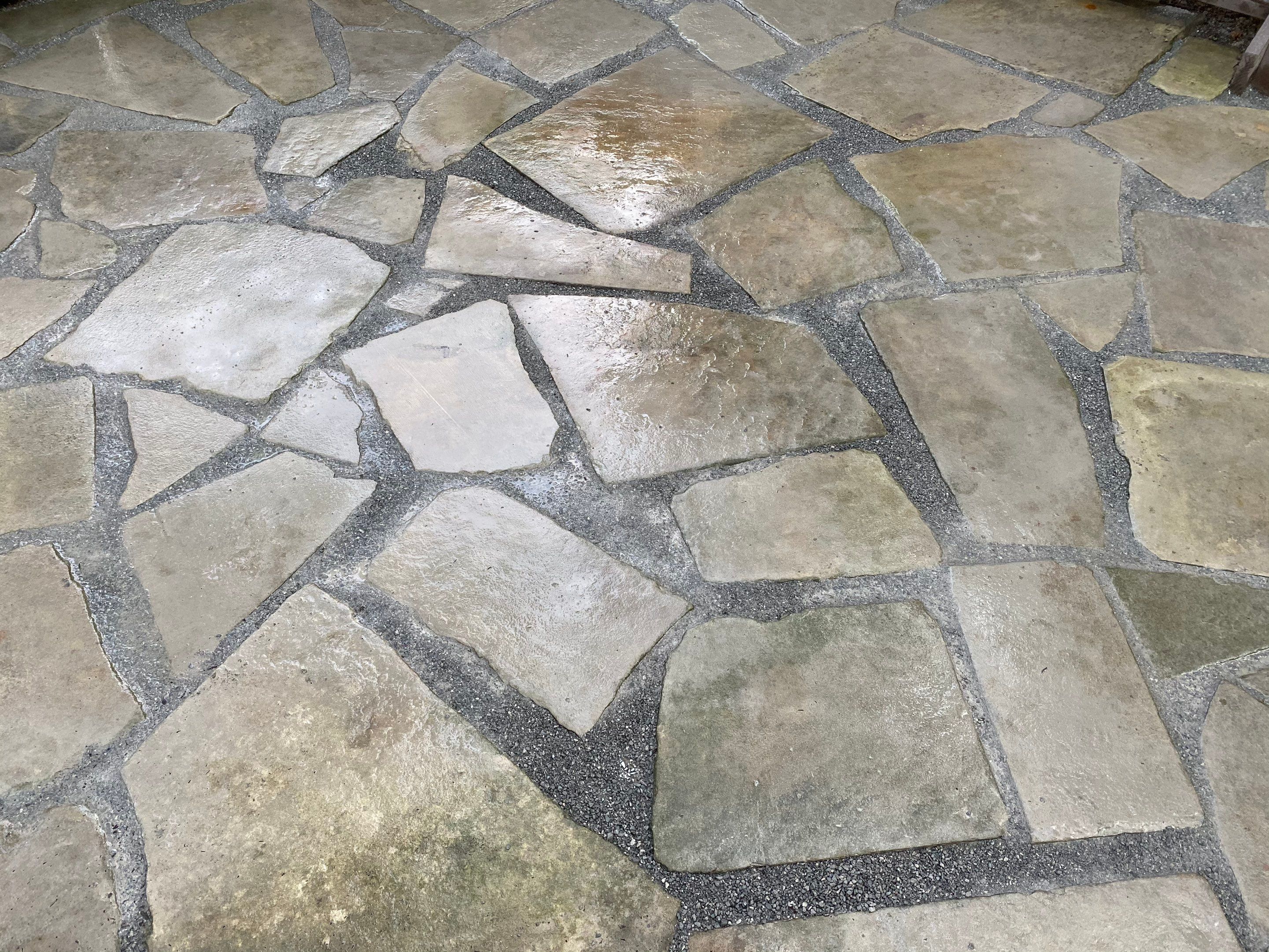 Elm Rose Home Project by Elm Rose Gardens