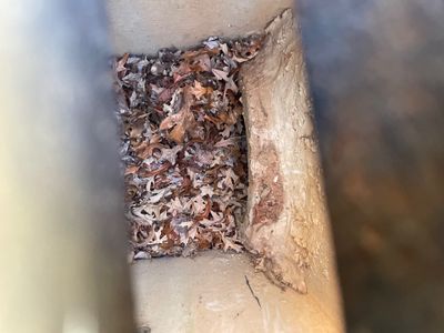 Project in Morganton