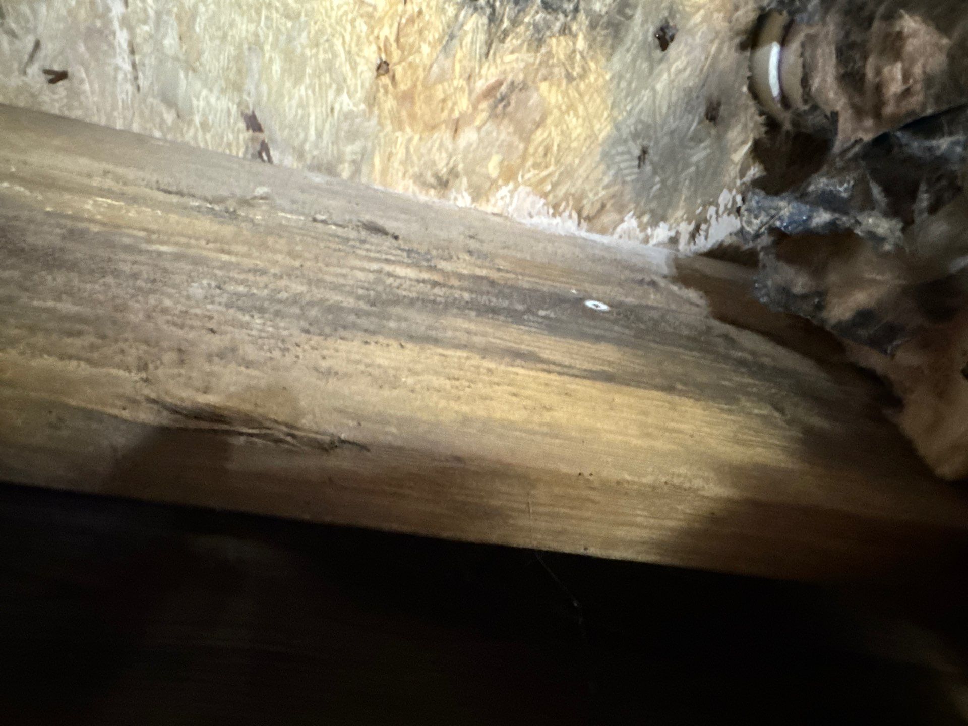 Project in Ivor by Patriot Crawl Space Repairs