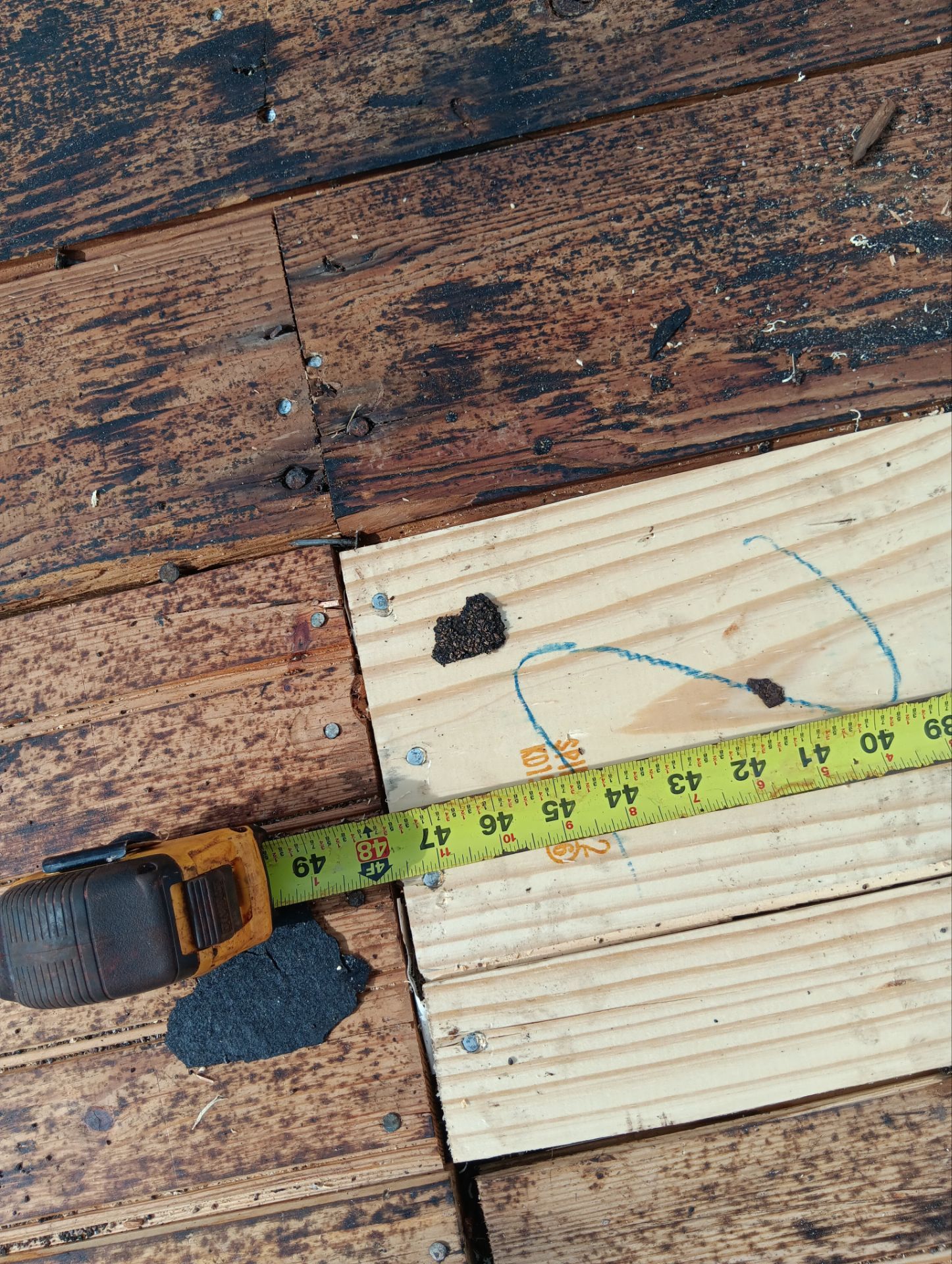 Shingles Roof in Boca Raton by Roofing Recovery