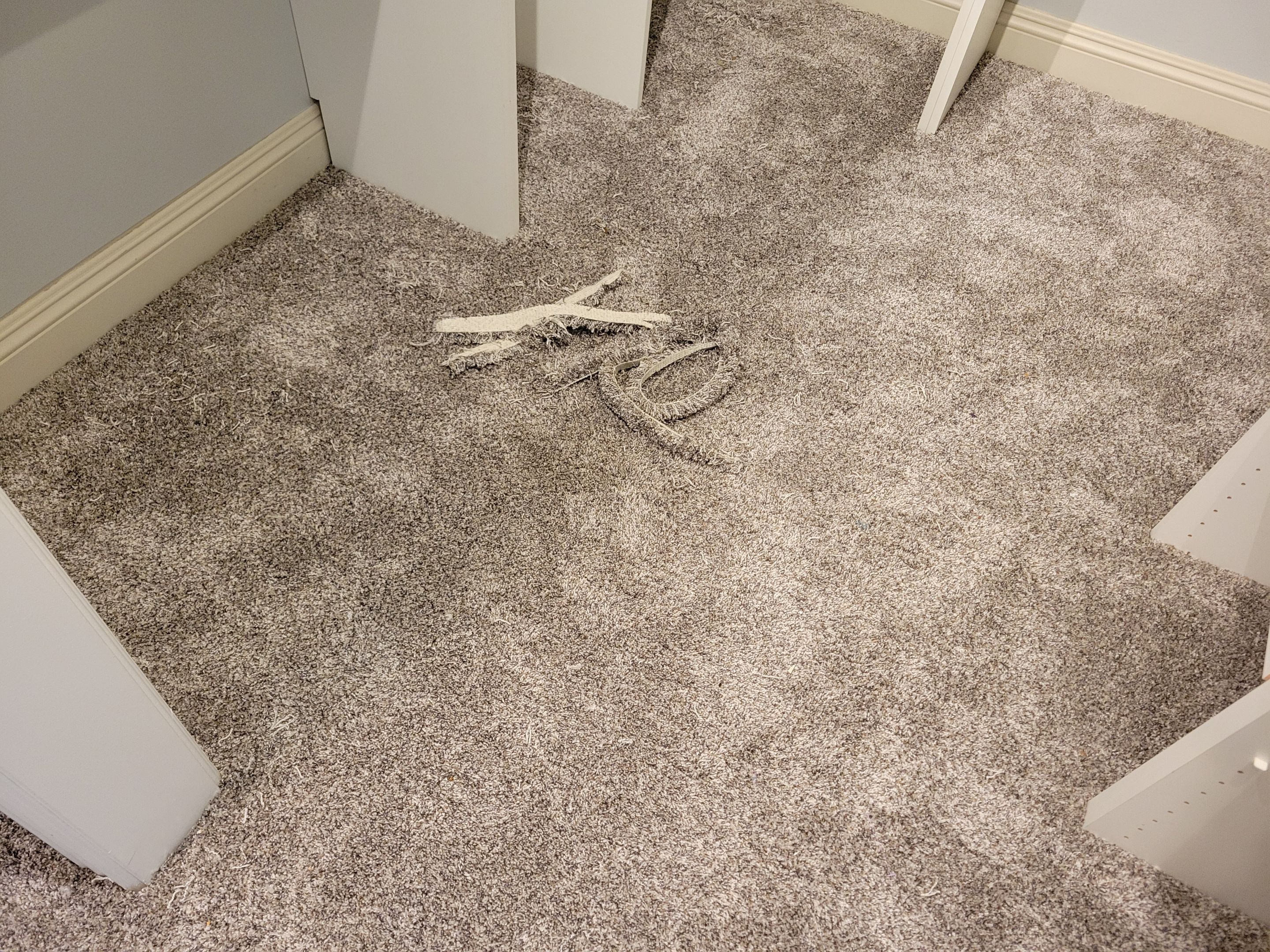 Carpet Re-stretch & Cleaning for House Listing by Ardent Carpet Restore LLC