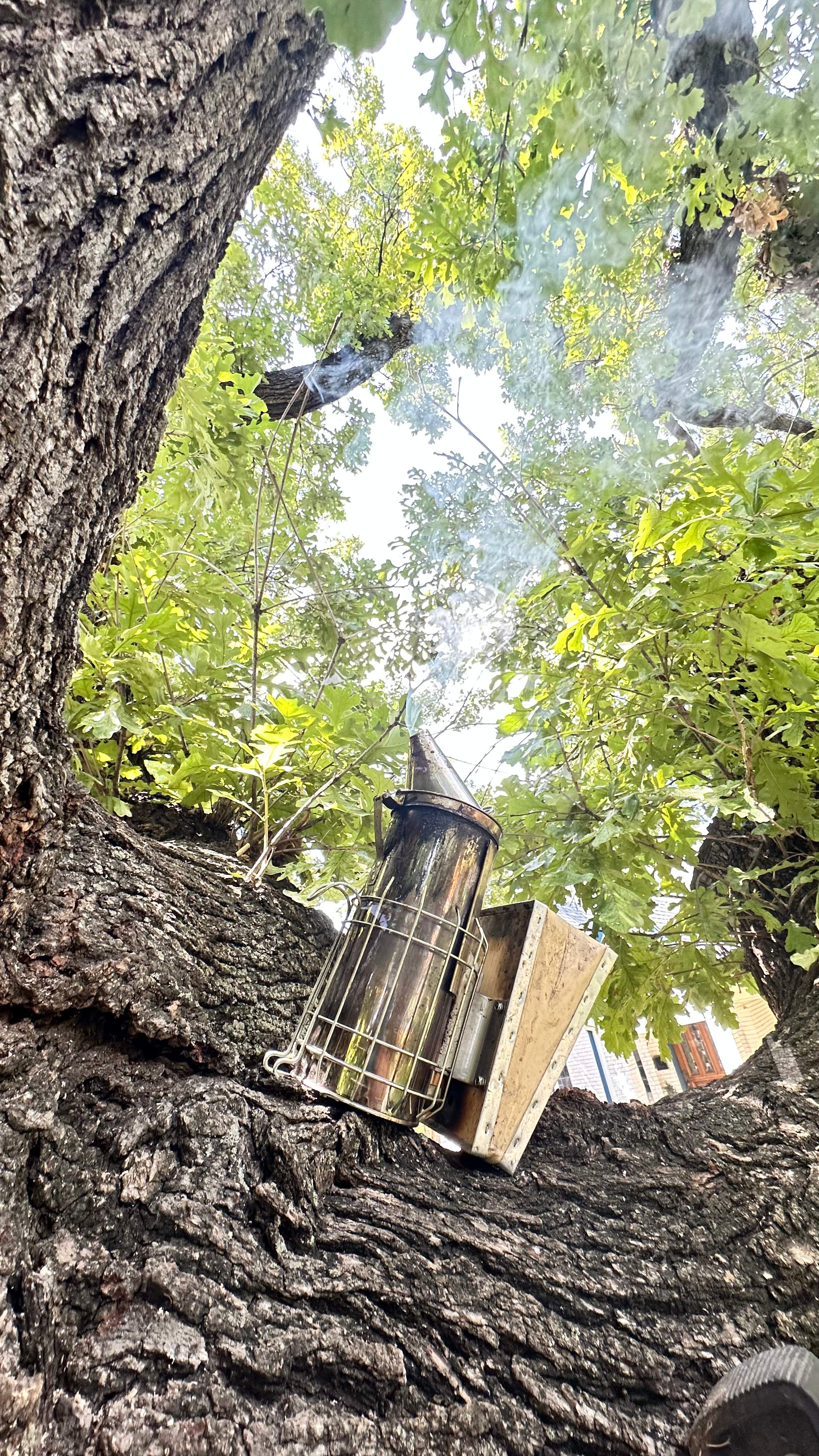 Tight Squeeze by Rockwall Honey Bee Company