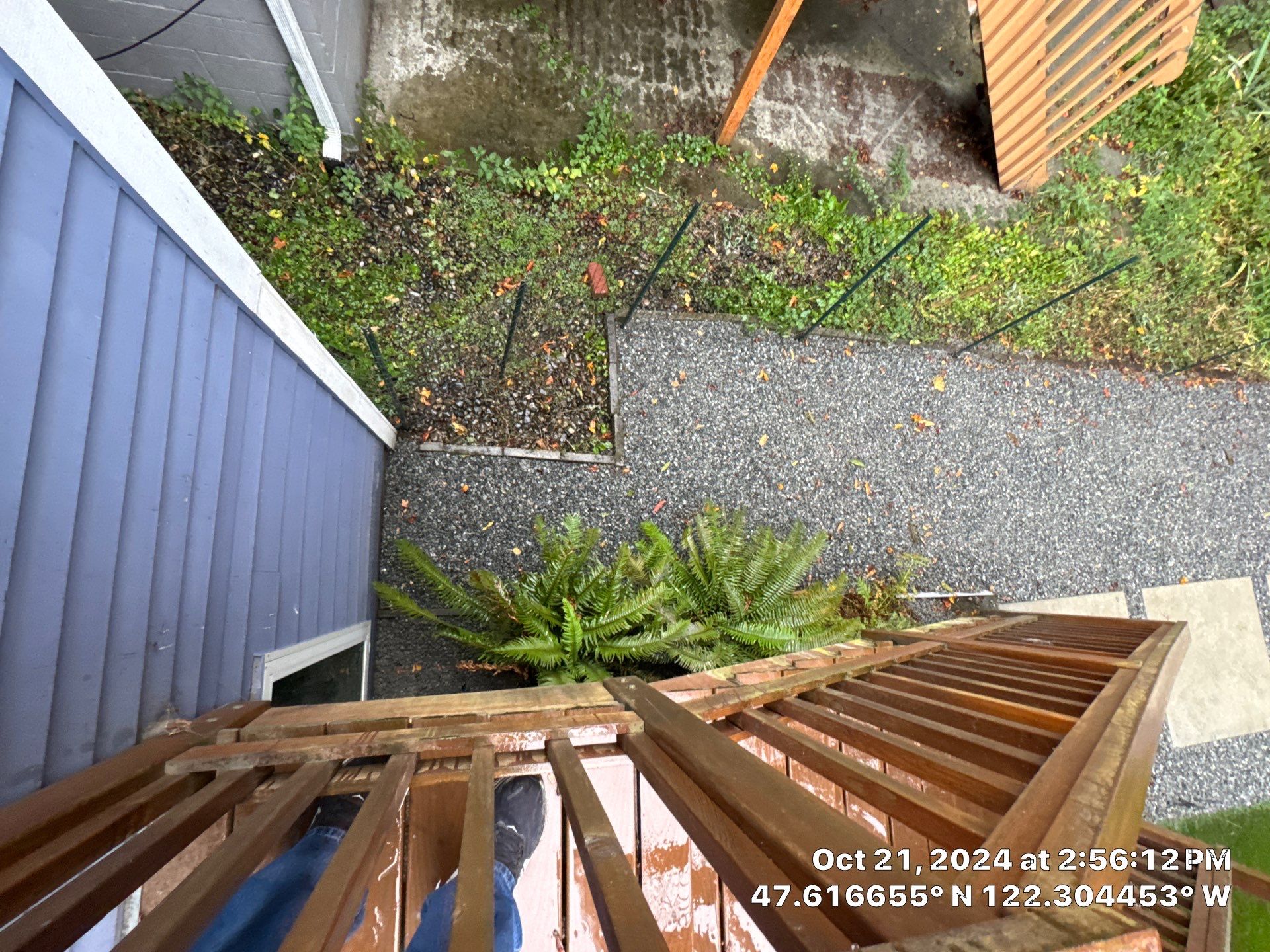 Turf Installation, Retaining Wall & Concrete Walkway | Seattle  by Jireh Asphalt & Concrete Inc 