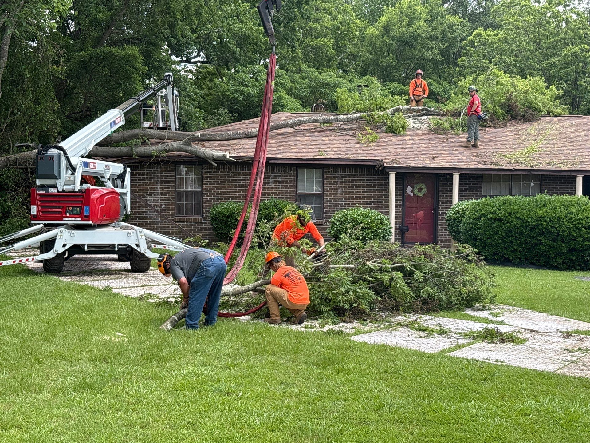 Crane-Assisted Emergency Removal by American Arbor