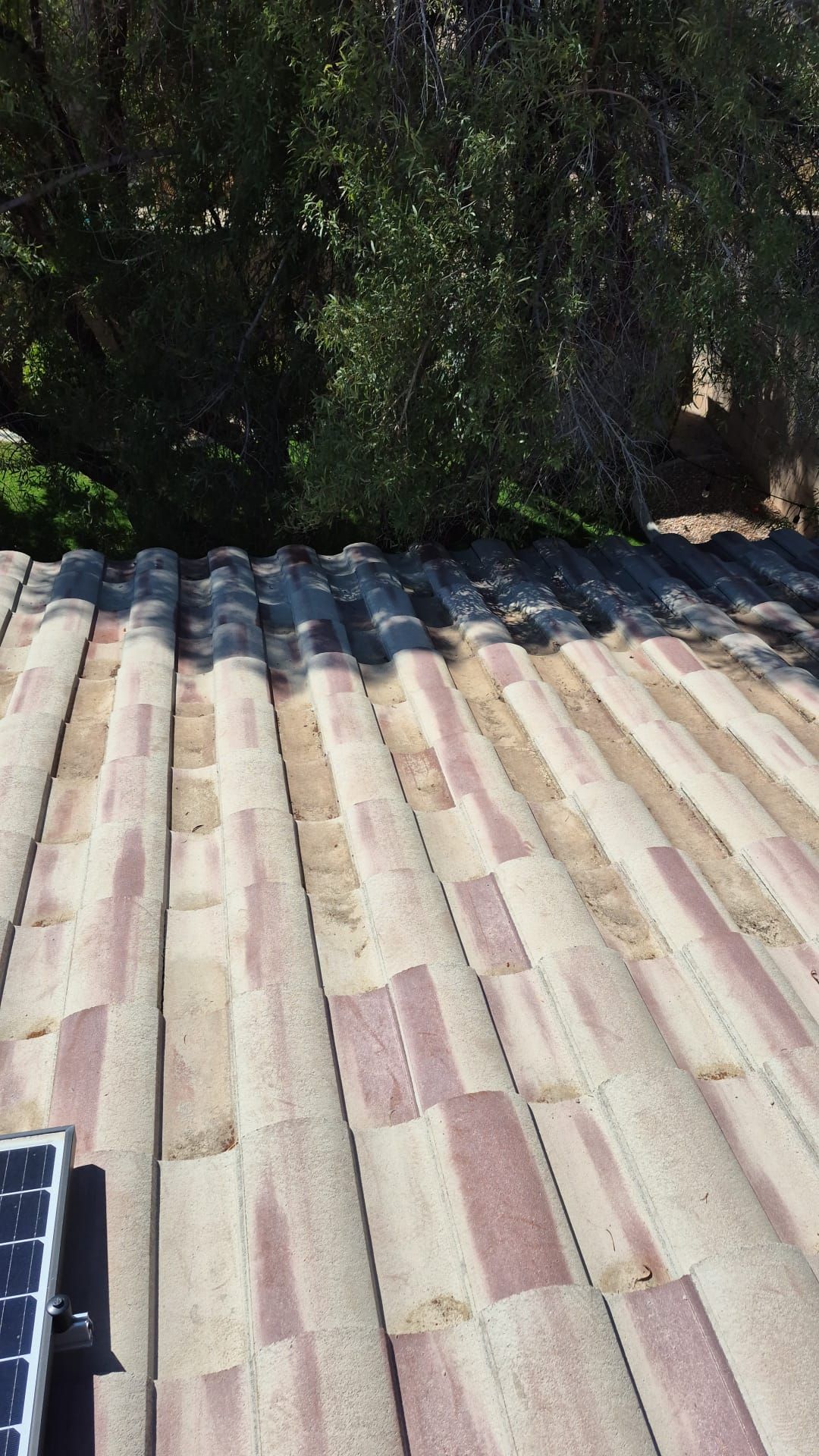 Single story netting. by Solar Honest Cleaning 
