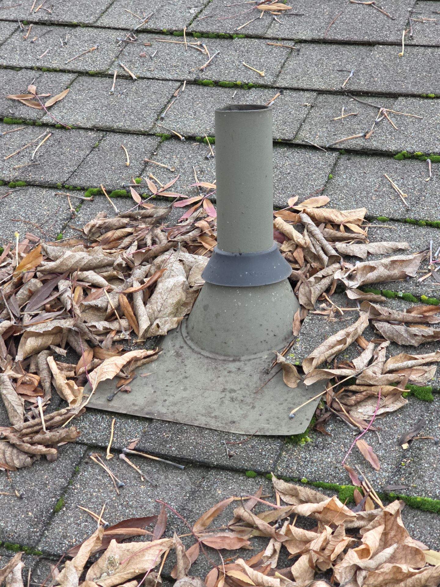 Roof Rejuvenation using Roof Maxx Treatment by Roof Maxx of Folsom