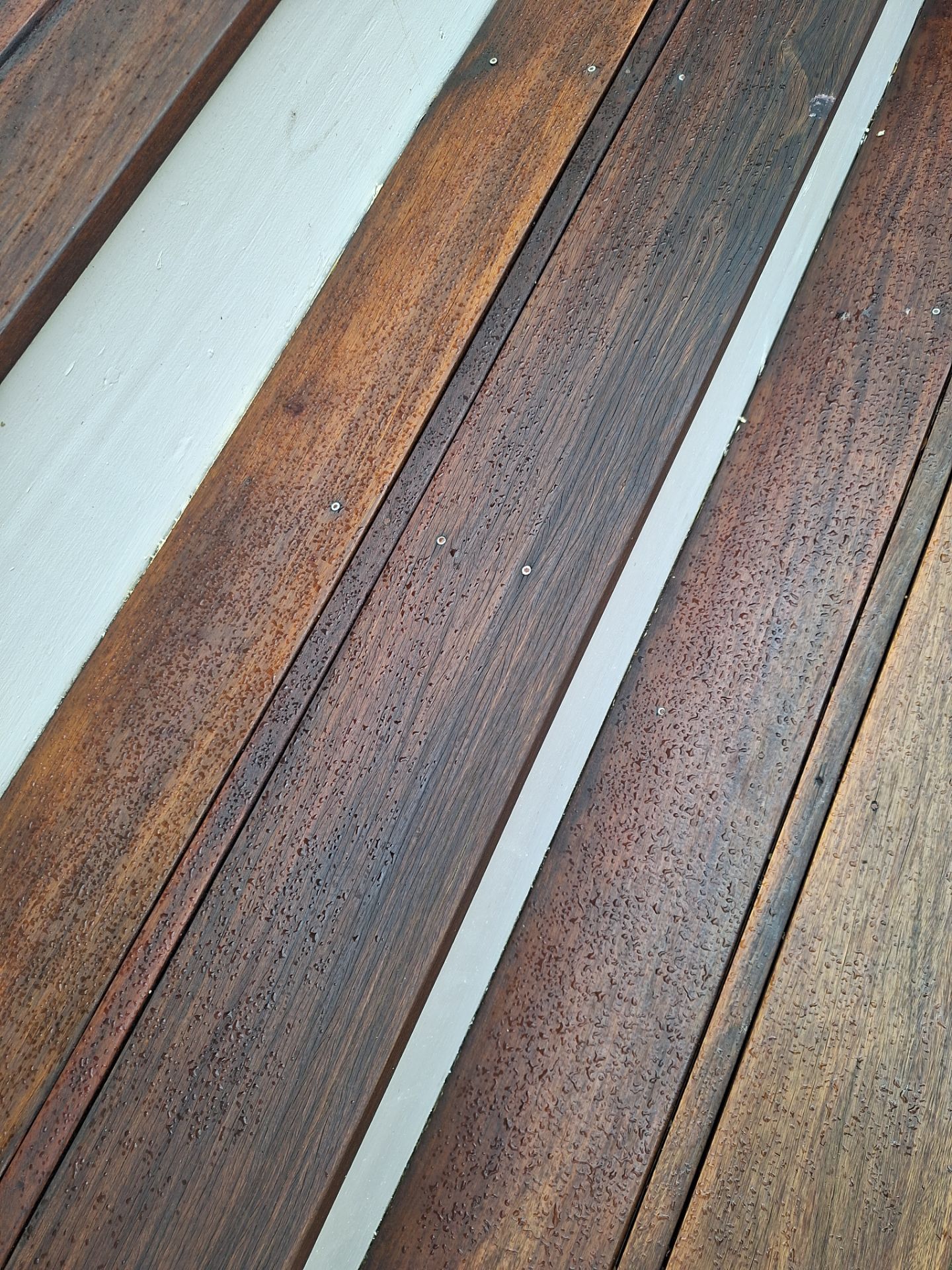 Exterior House Painting in Arlington, VA by My Painter 