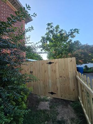 The Perfect Blend of Privacy and Style