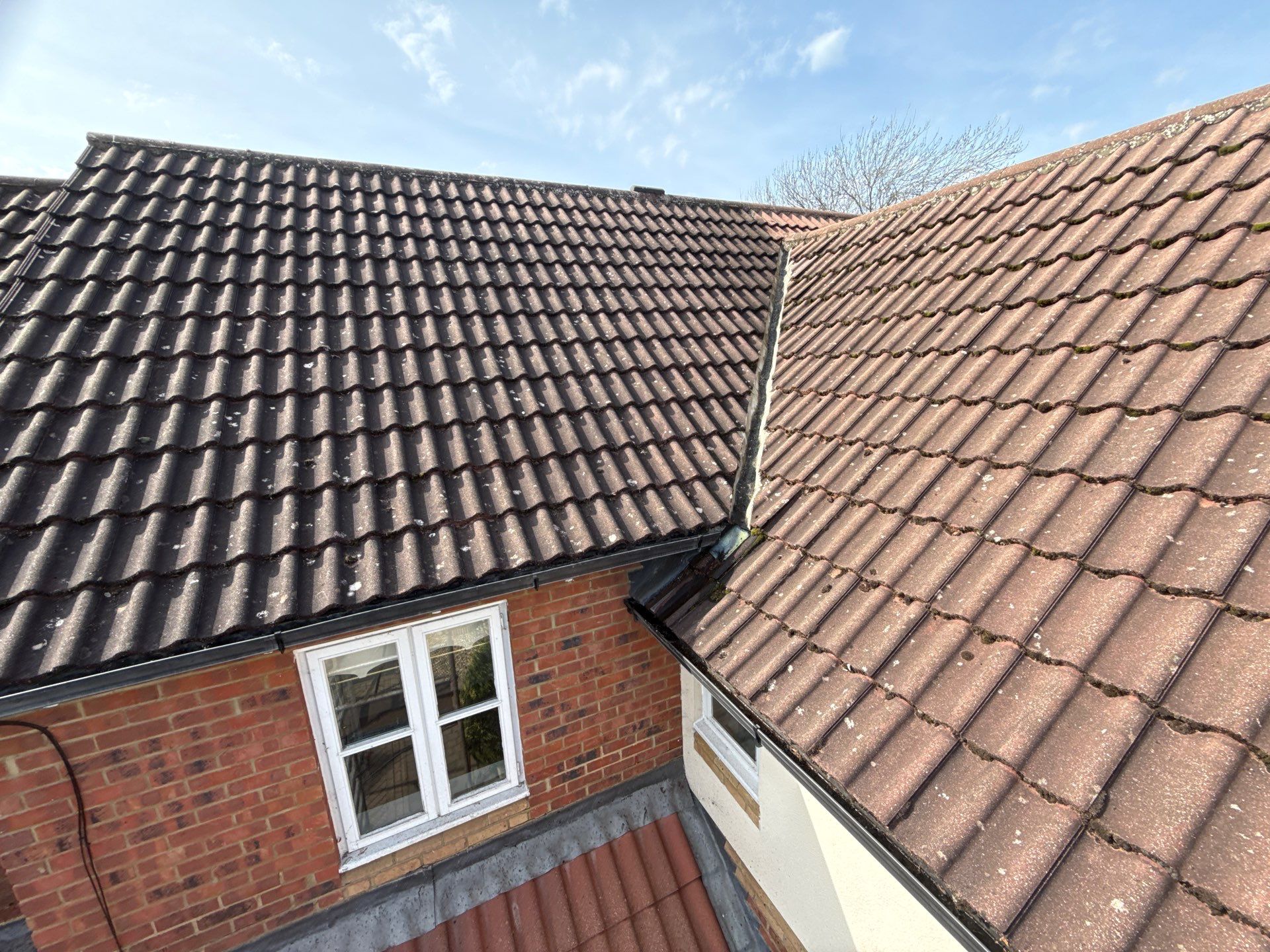 Roof Cleaning by Ges Exterior Cleaning ltd