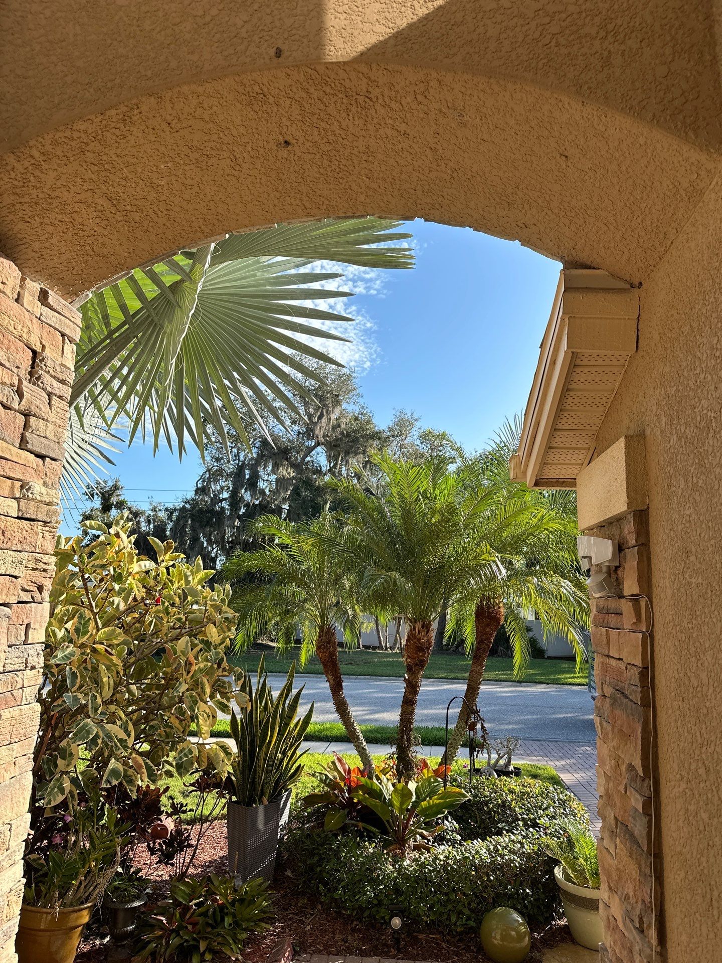 House Wash, Roof Cleaning & more Oakleaf Hammock, Ellenton, FL | Sunshine AquaWash by Sunshine AquaWash