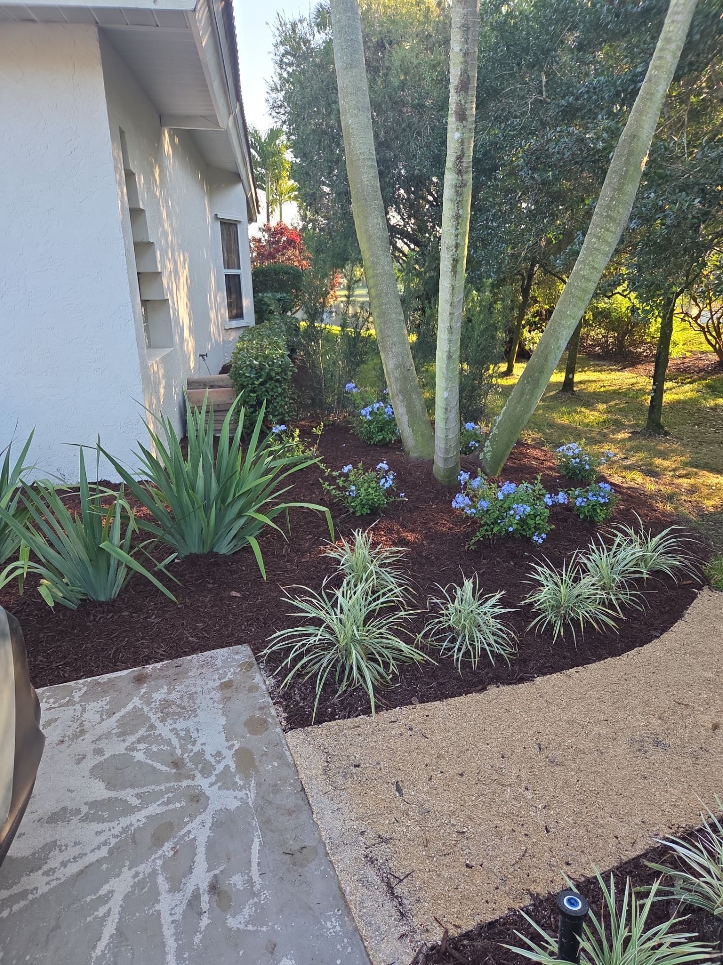 🌴 Landscape Removal and Install in Palm City by Alpha Zeta Enterprises Inc
