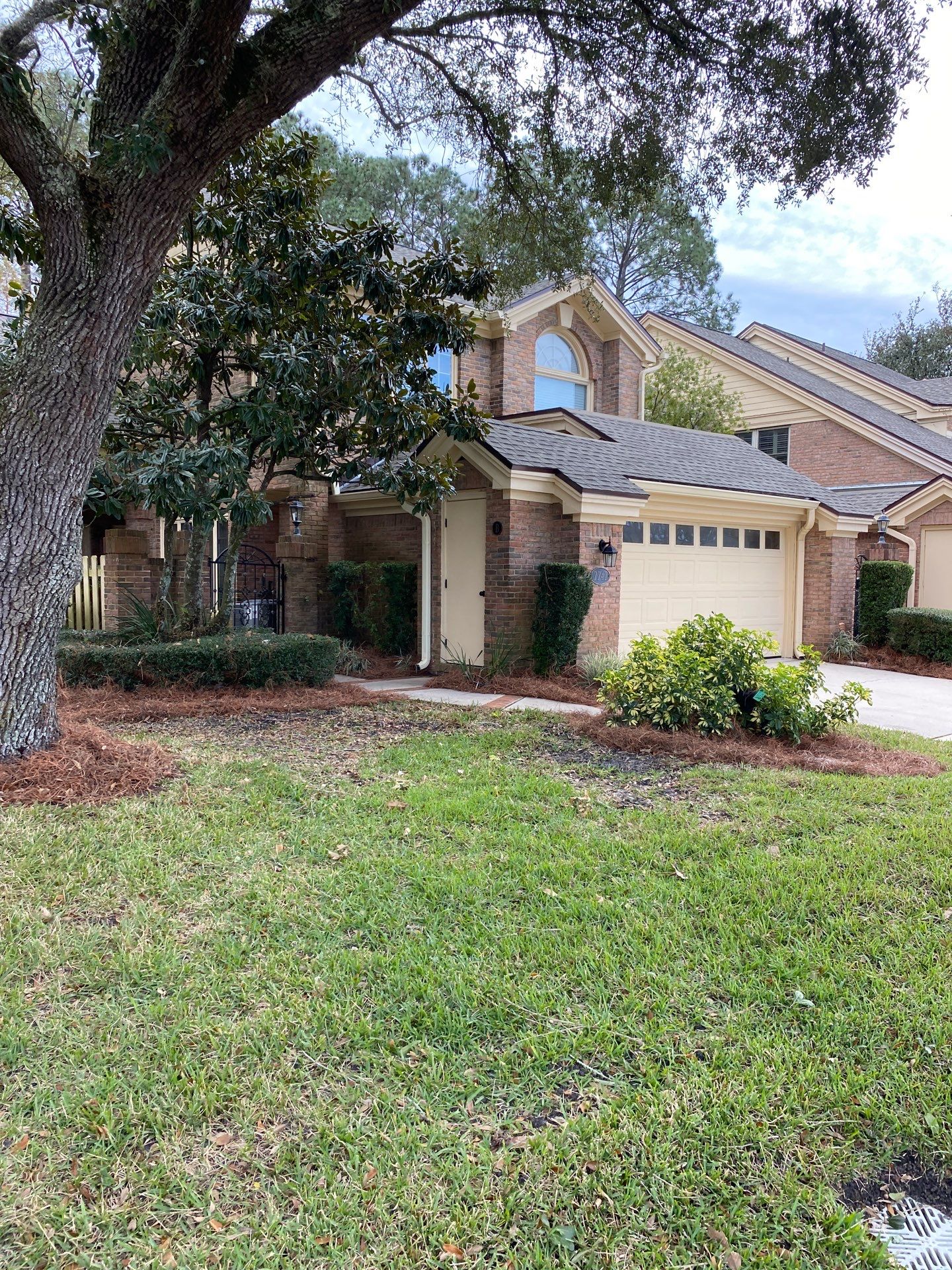 Deerwood Pointe | Tree Removal & Pine Straw Installation by ProGreen Services