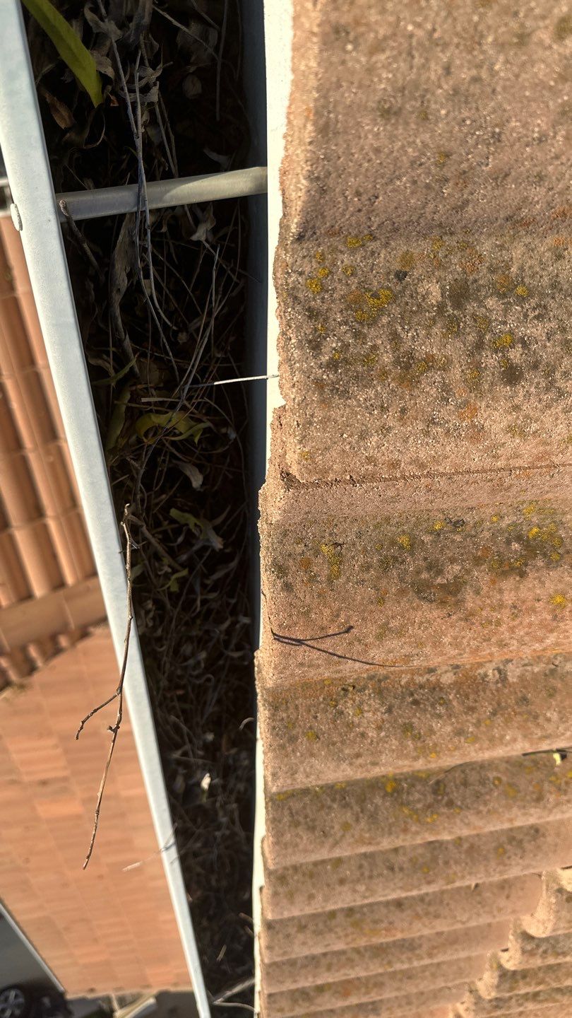Irvine Gutter Cleaning by Property Cleaning Experts, LLC