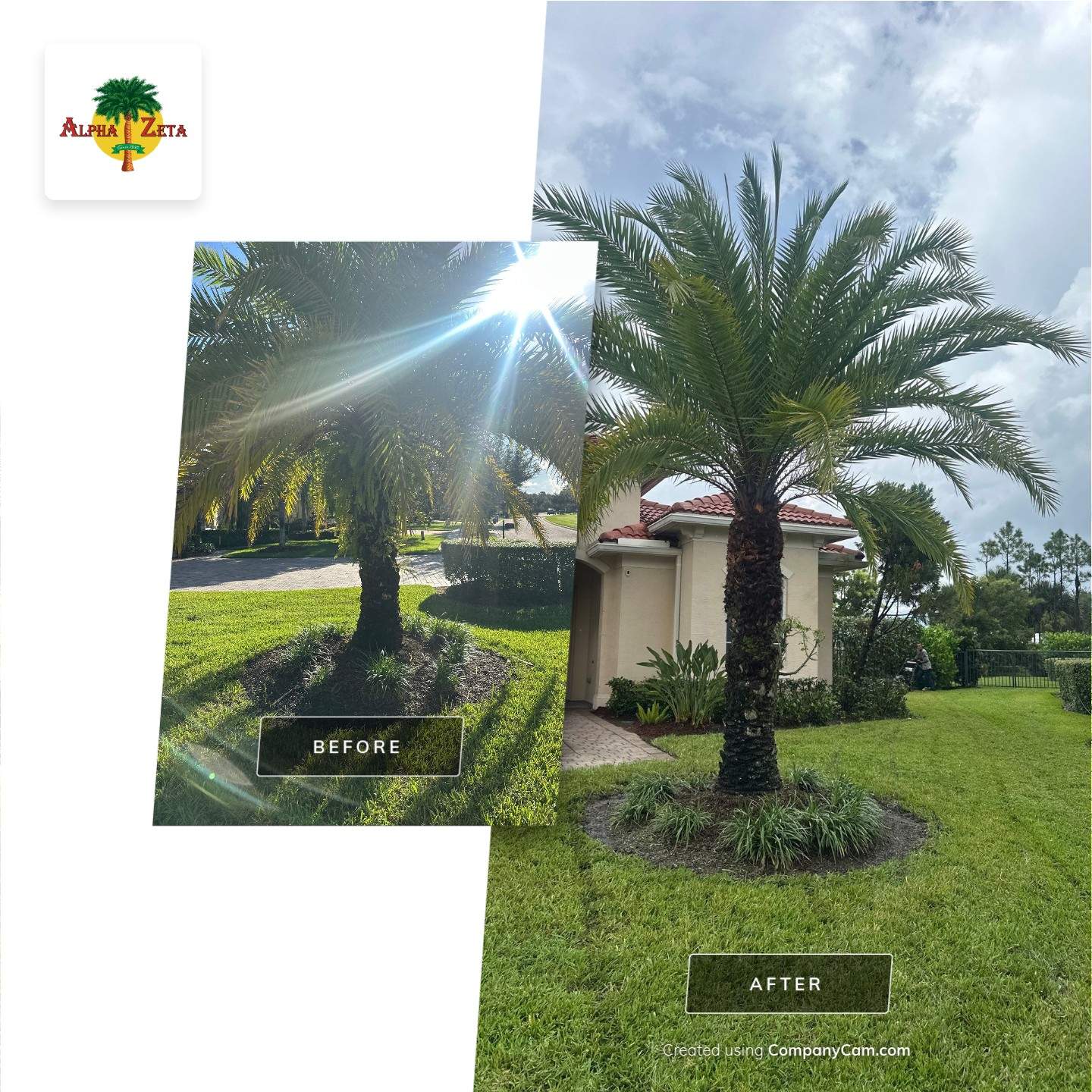 From Overgrown to Picture-Perfect - Stuart Refresh by Alpha Zeta Enterprises Inc