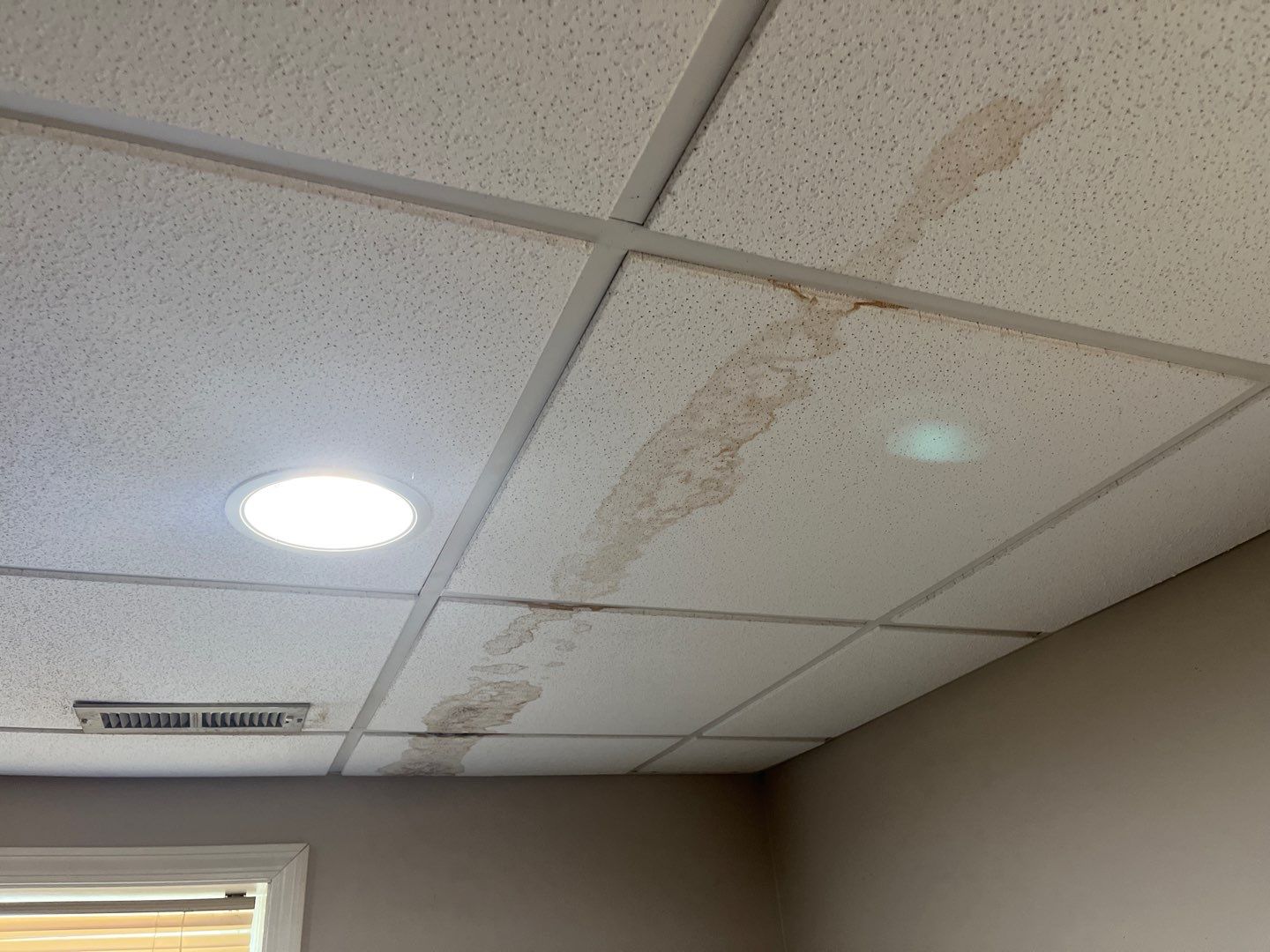 Mold Remediation in Louisville, KY by ANR Restoration